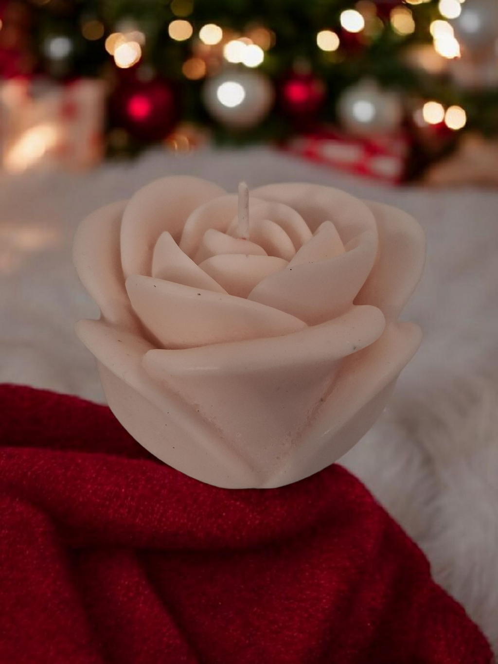 Solitary Rose Blaze 3