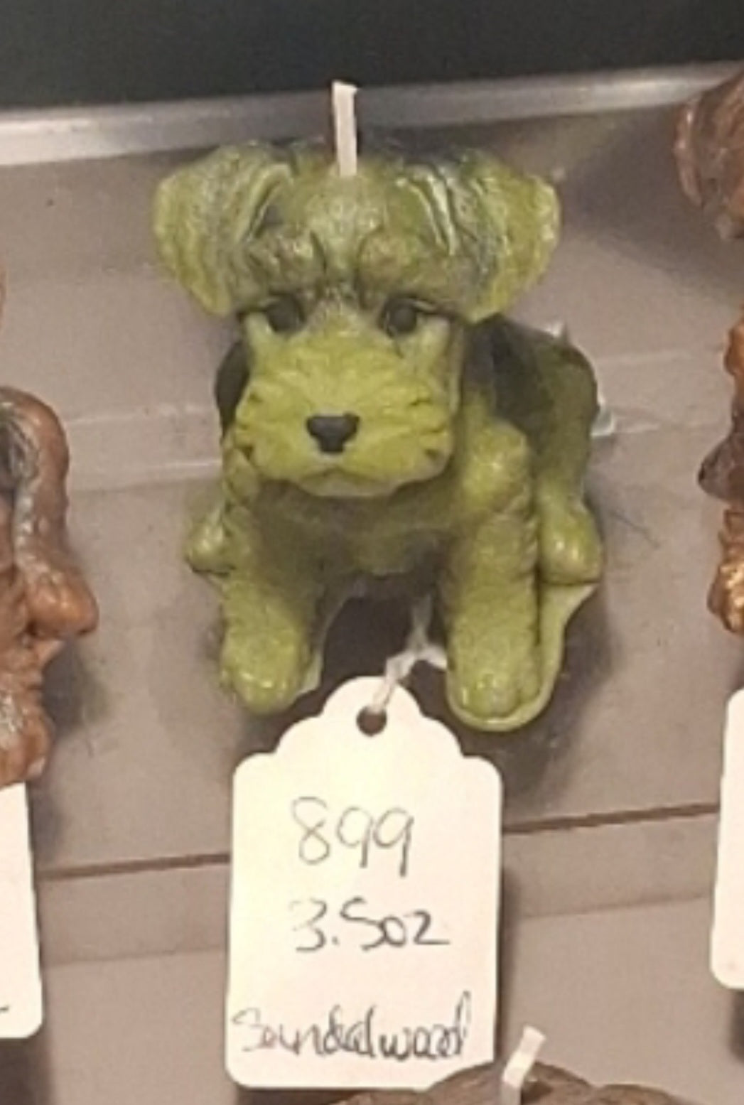 Scottish Terrier