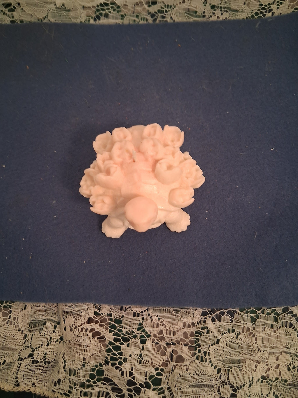 Turtle Blossom Guardian 2