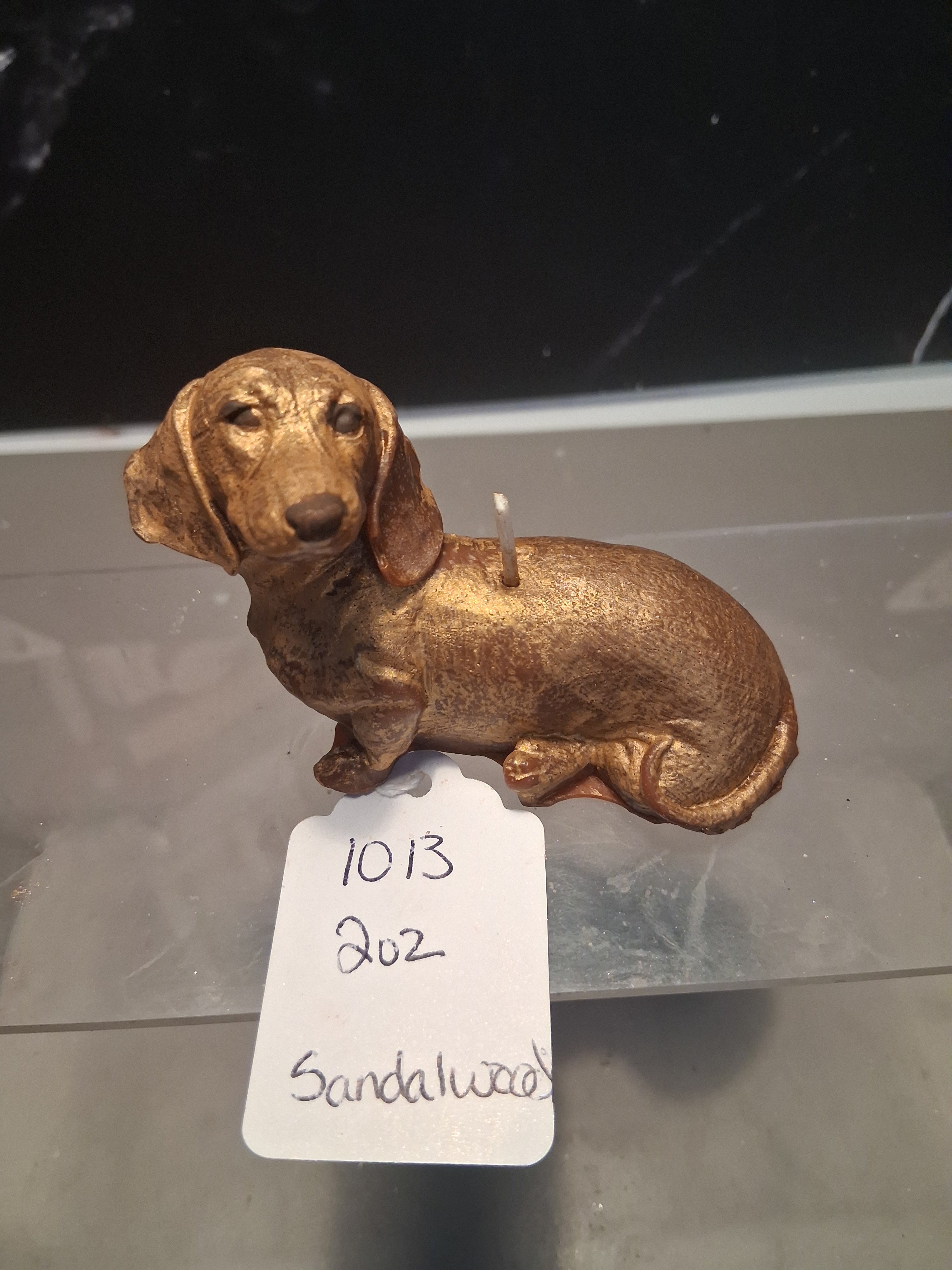 Dachshund Glow