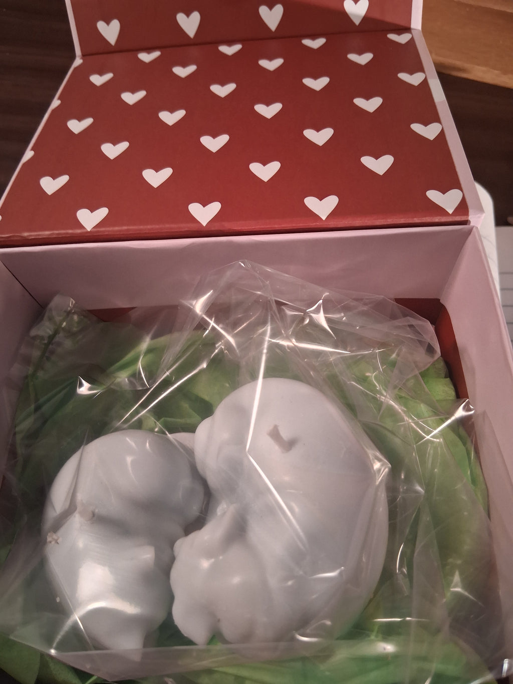 Paw-fect Together (Set of 2)