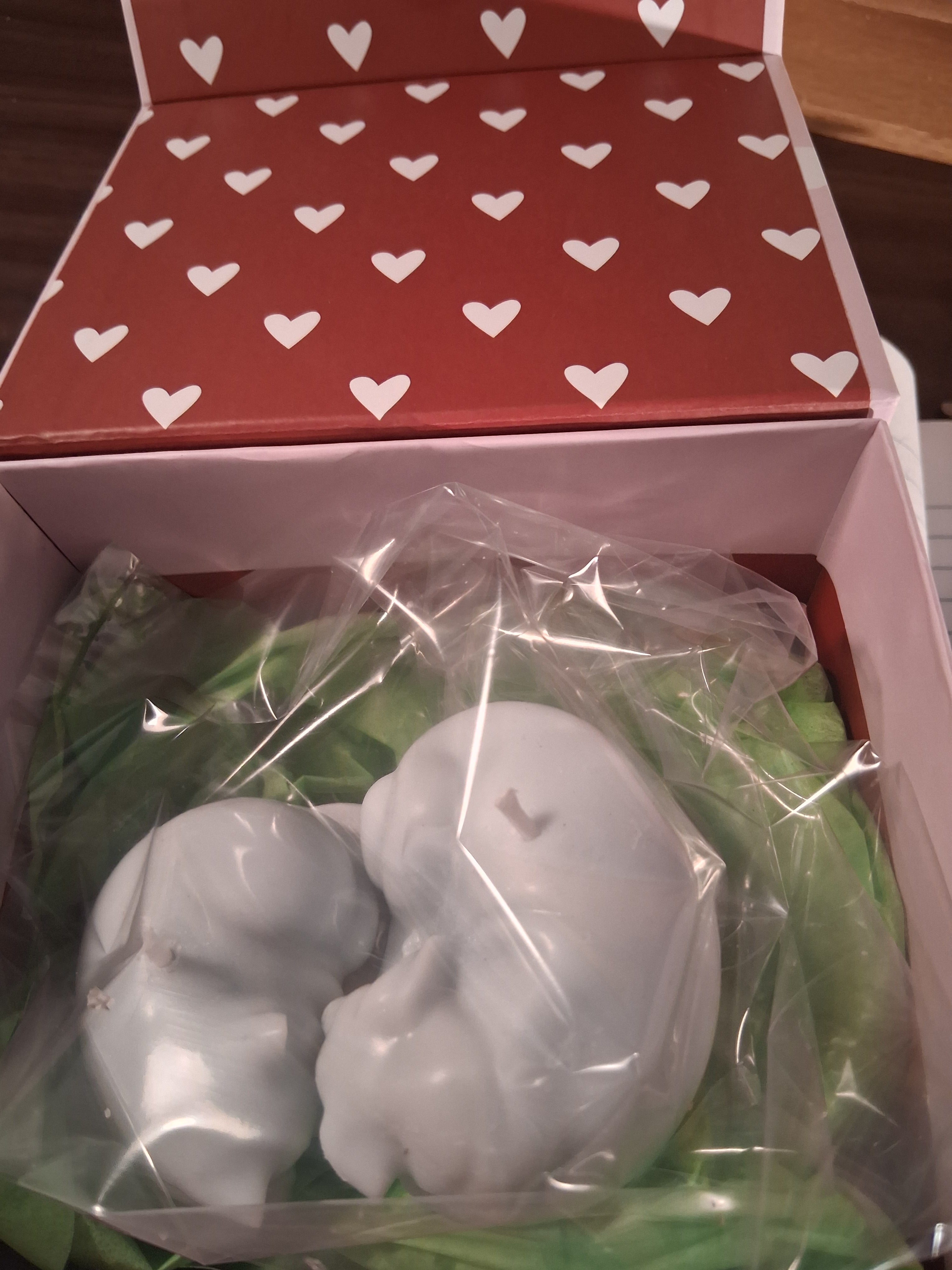 Paw-fect Together (Set of 2)