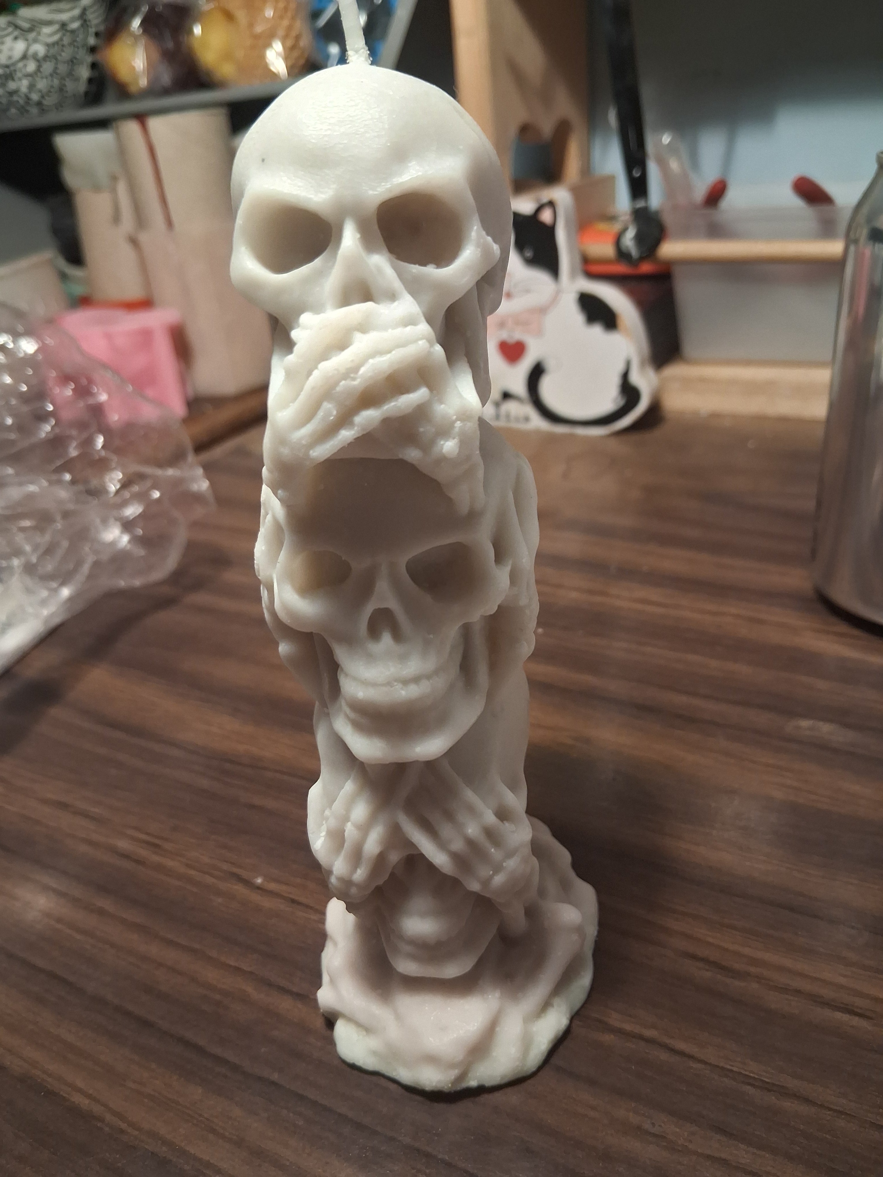 Silent Skull Sentinel ☠️