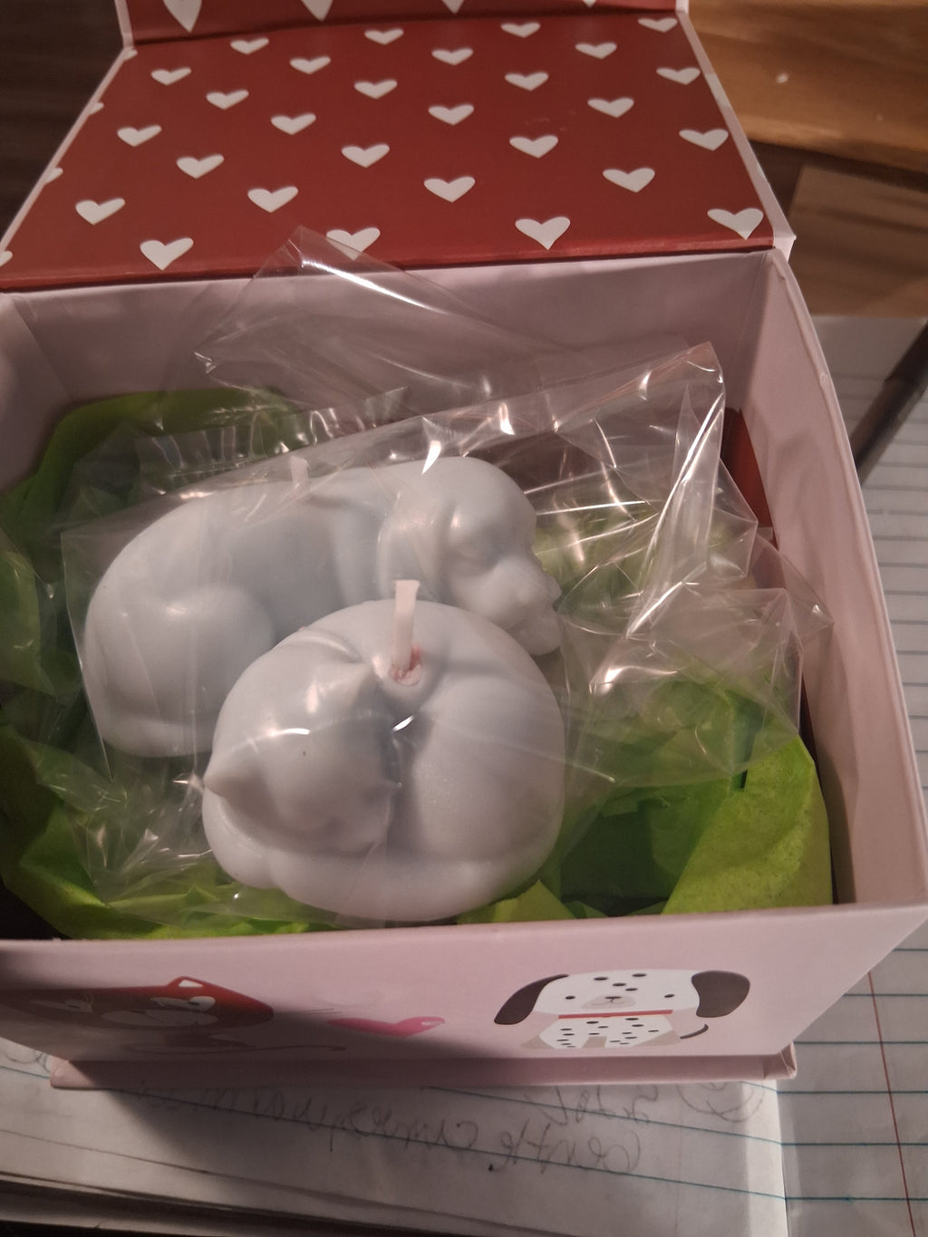 Paw-fect Together (Set of 2)