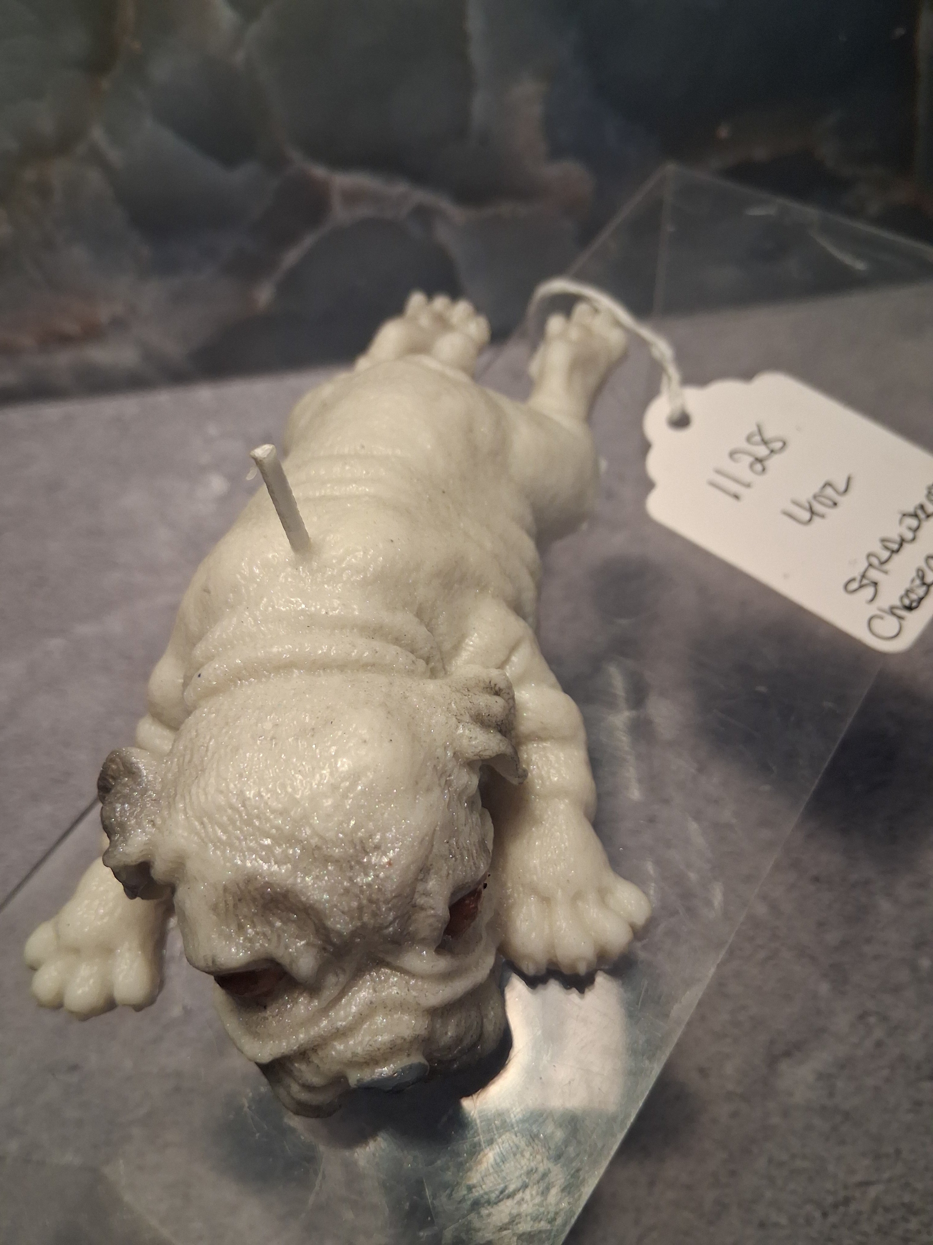 The Splooting Pug