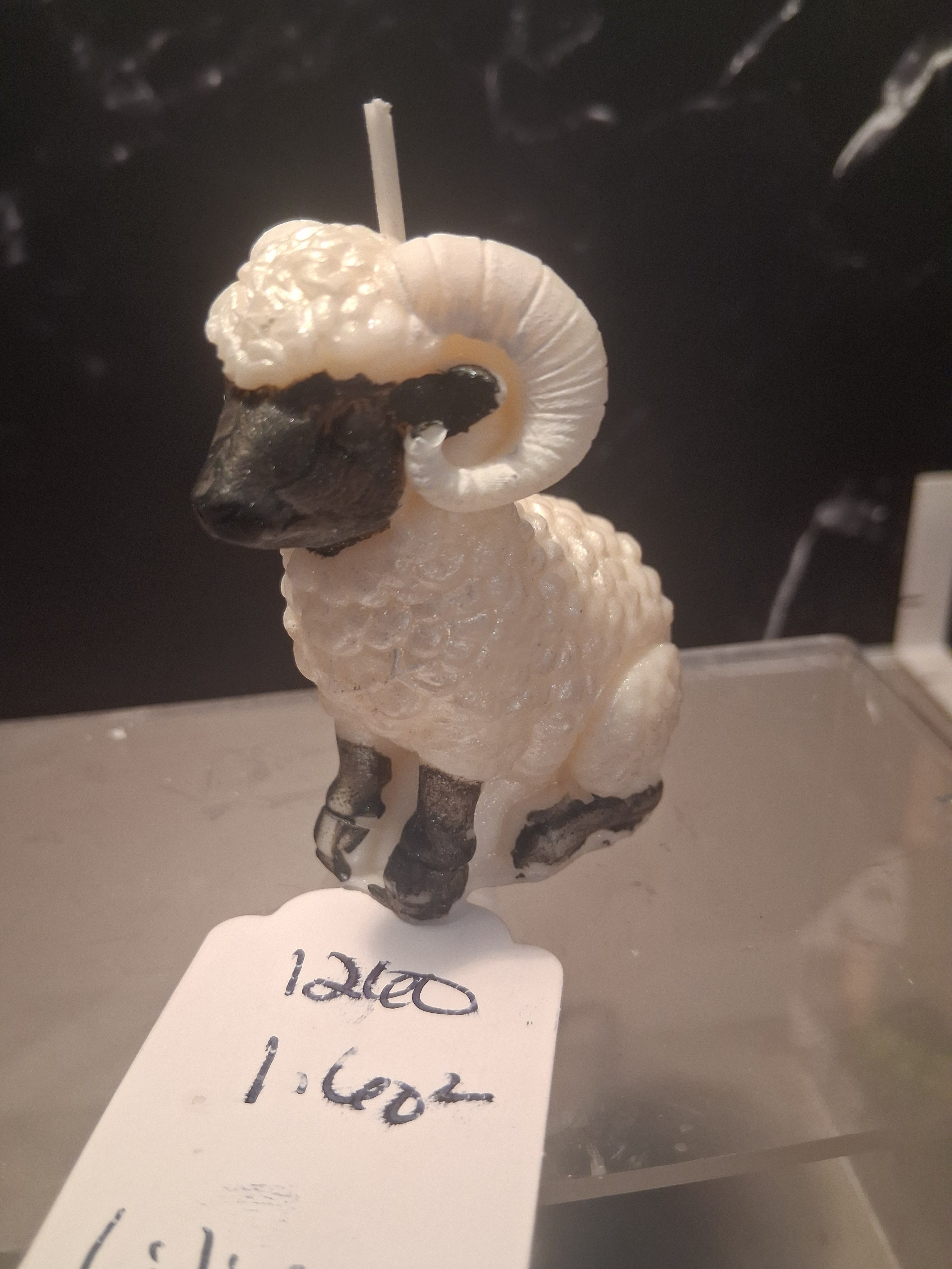The Regal Ram