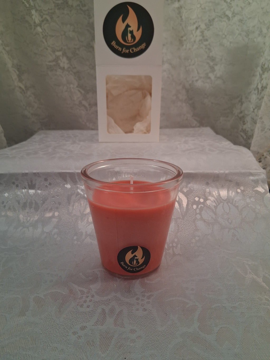 Winter Walk in the Woods