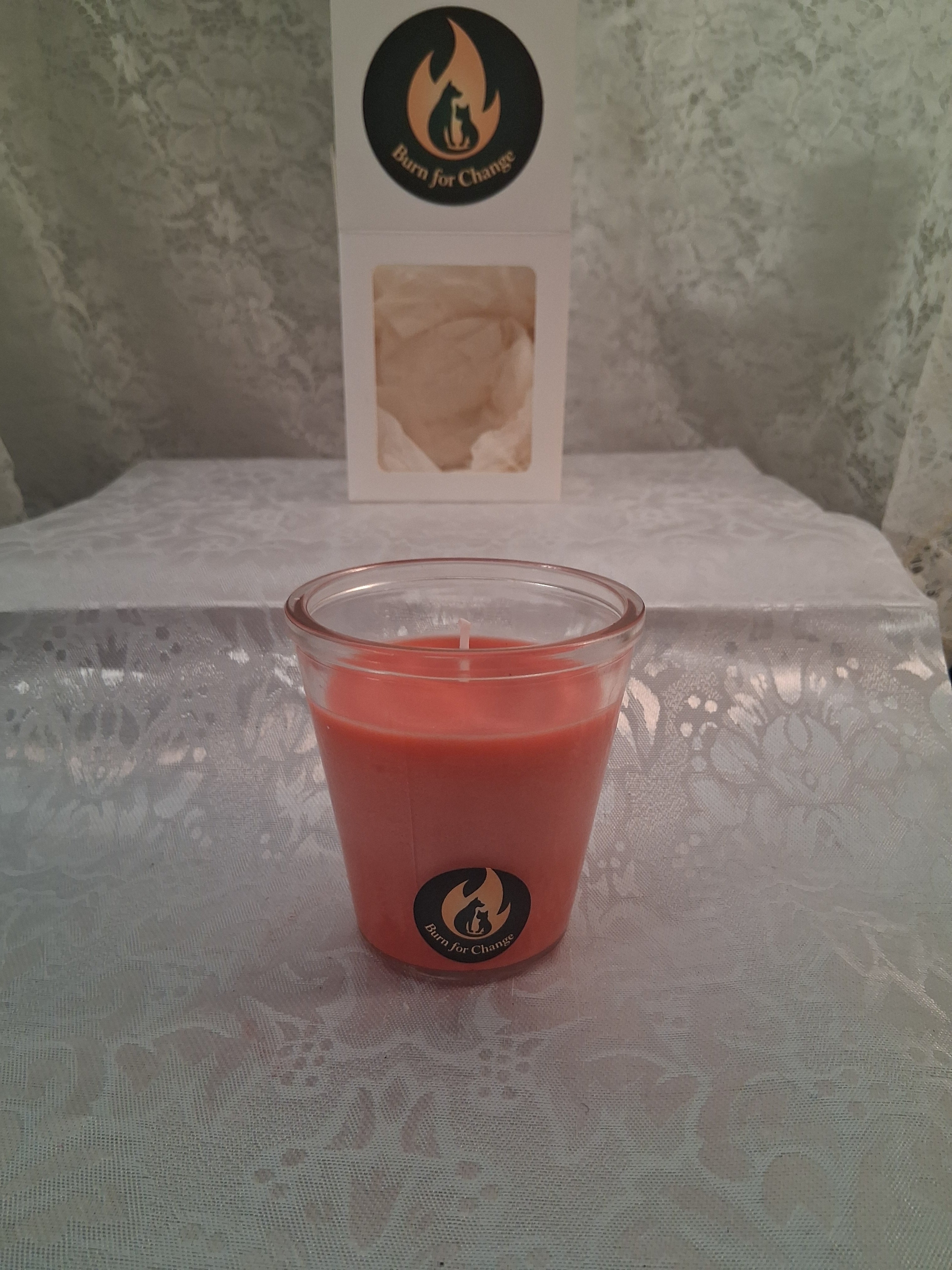 Winter Walk in the Woods