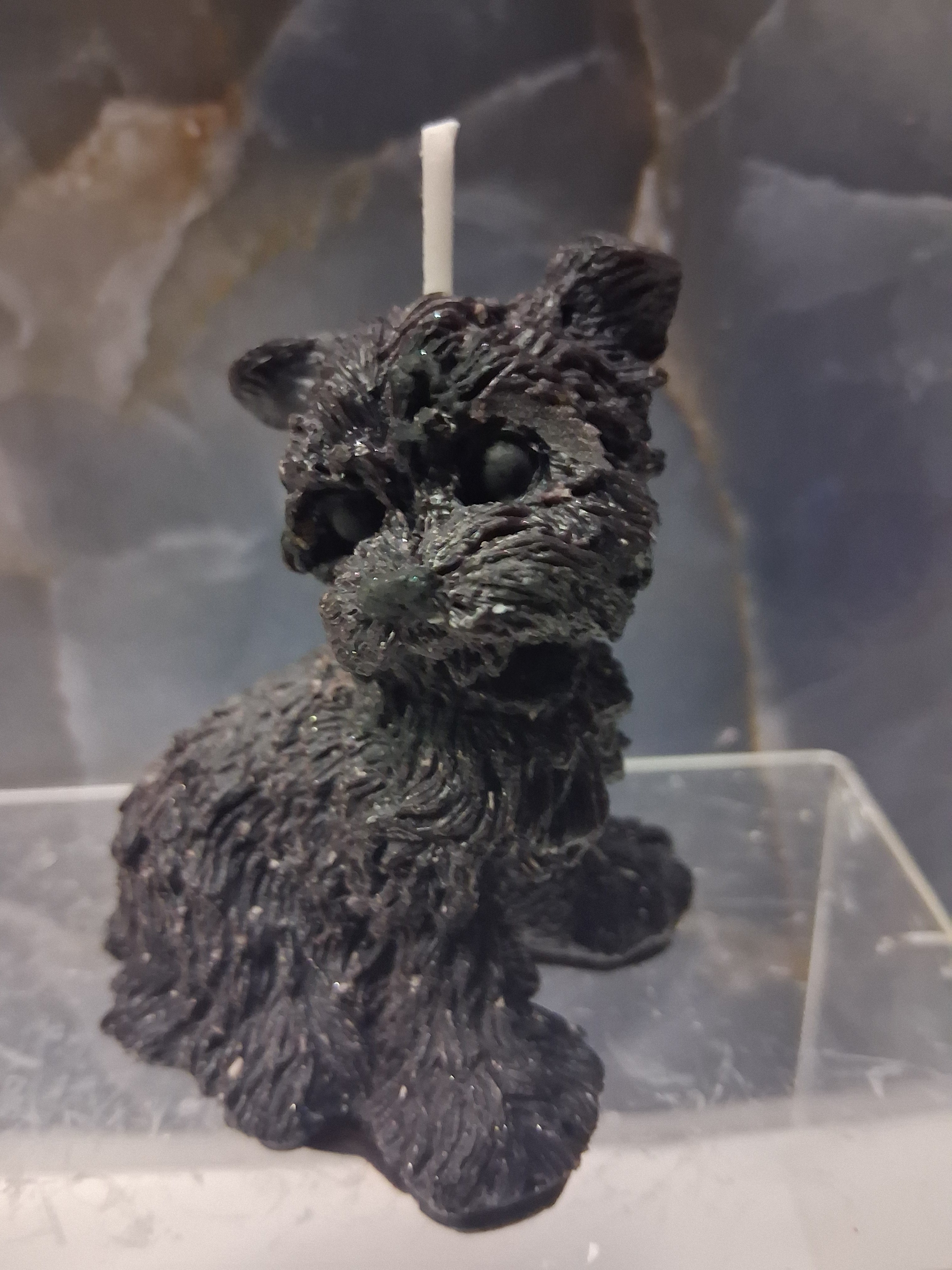 Scruffy Terrier