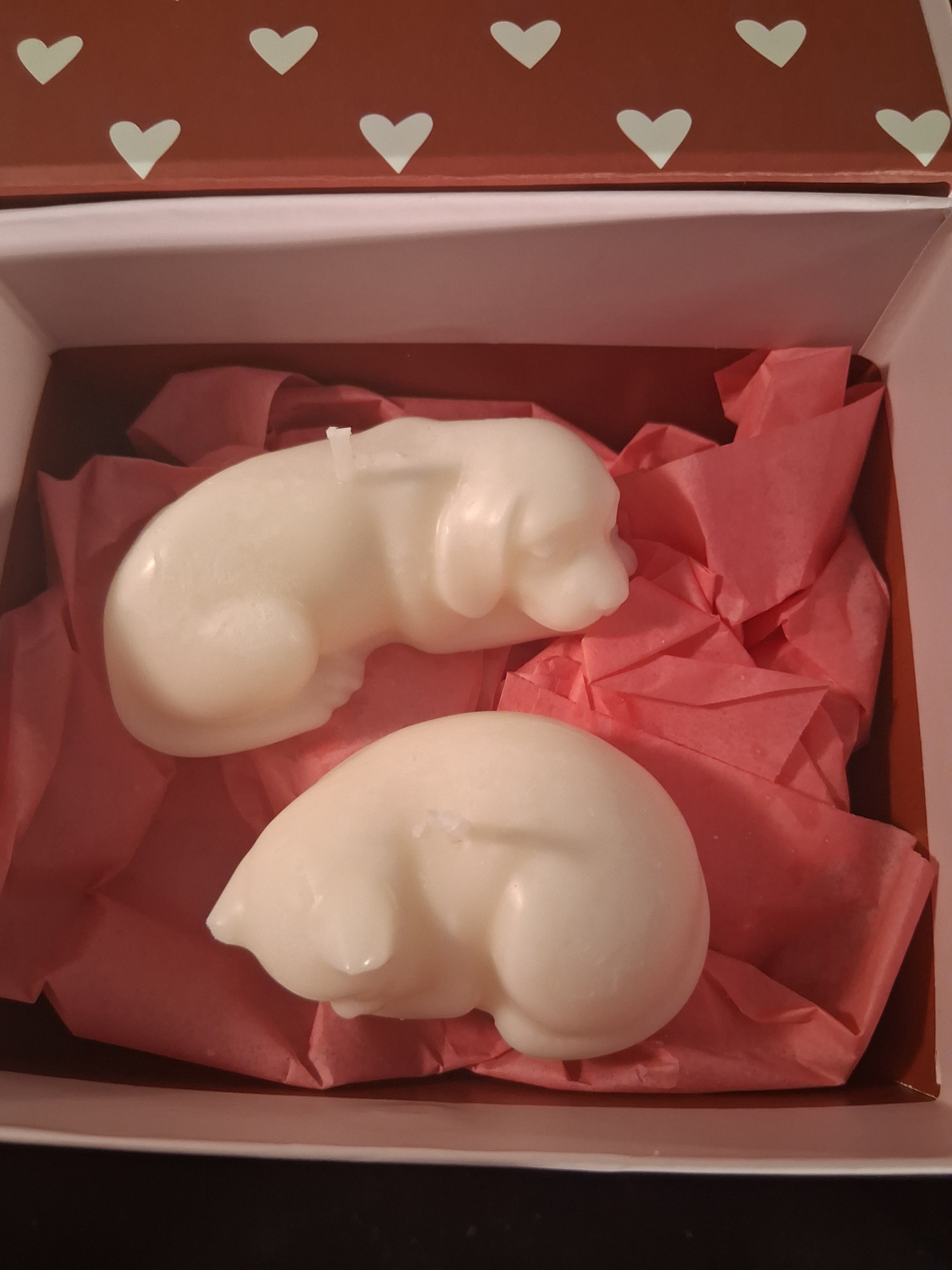 Paw-fect Together (Set of 2)