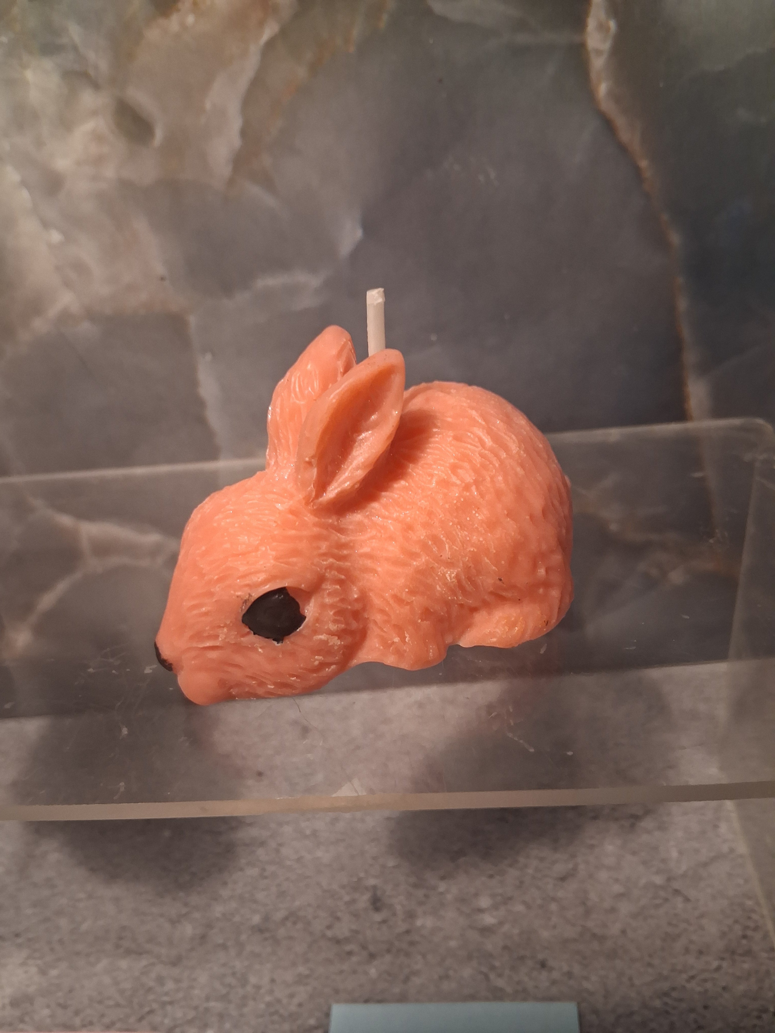 Clover Companion