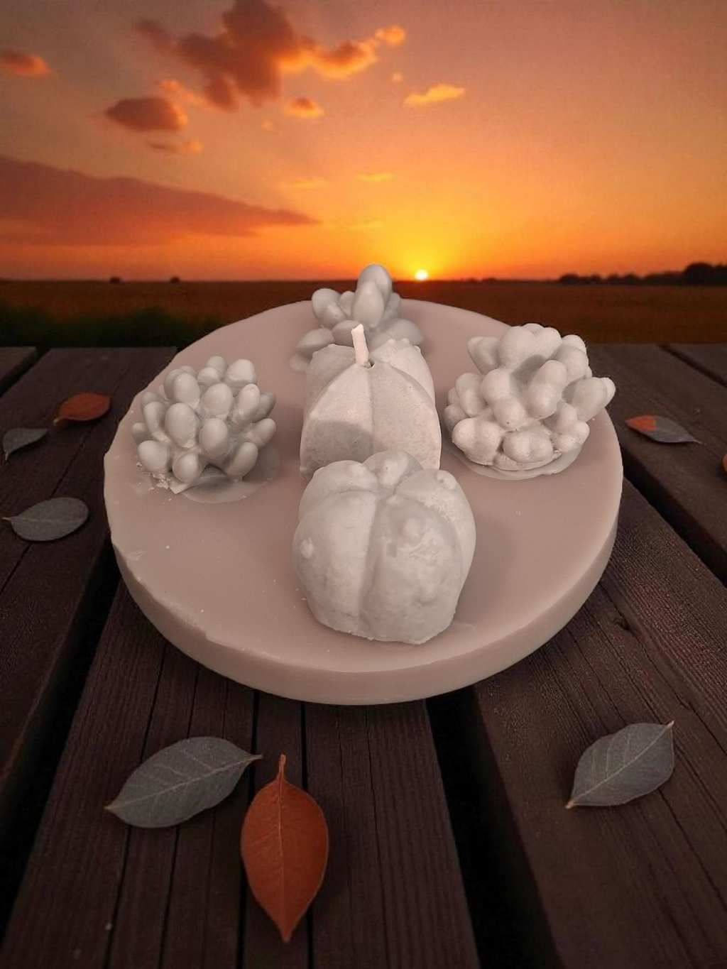 Oasis Succulent Cluster