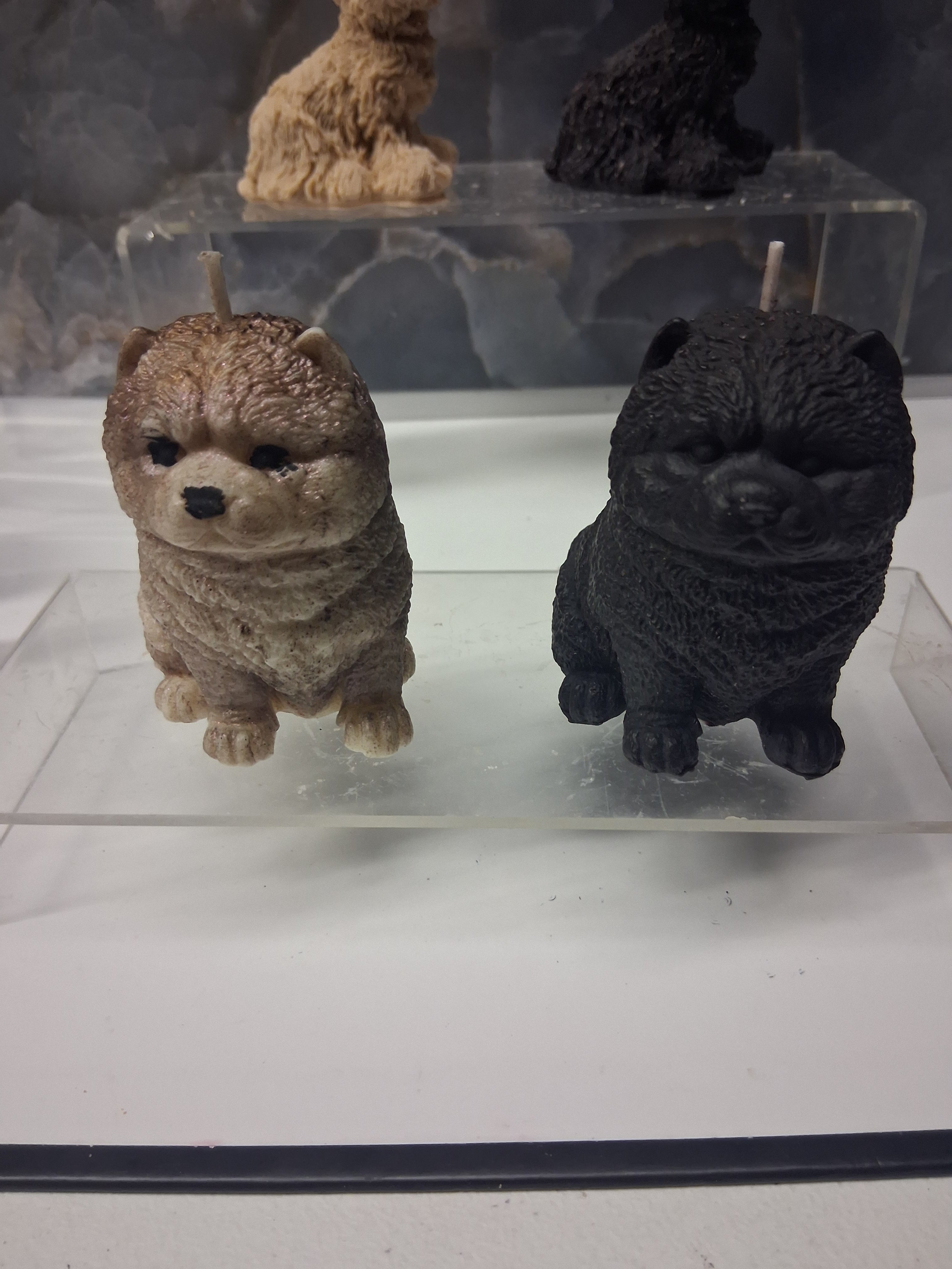 Chow Chow Charm