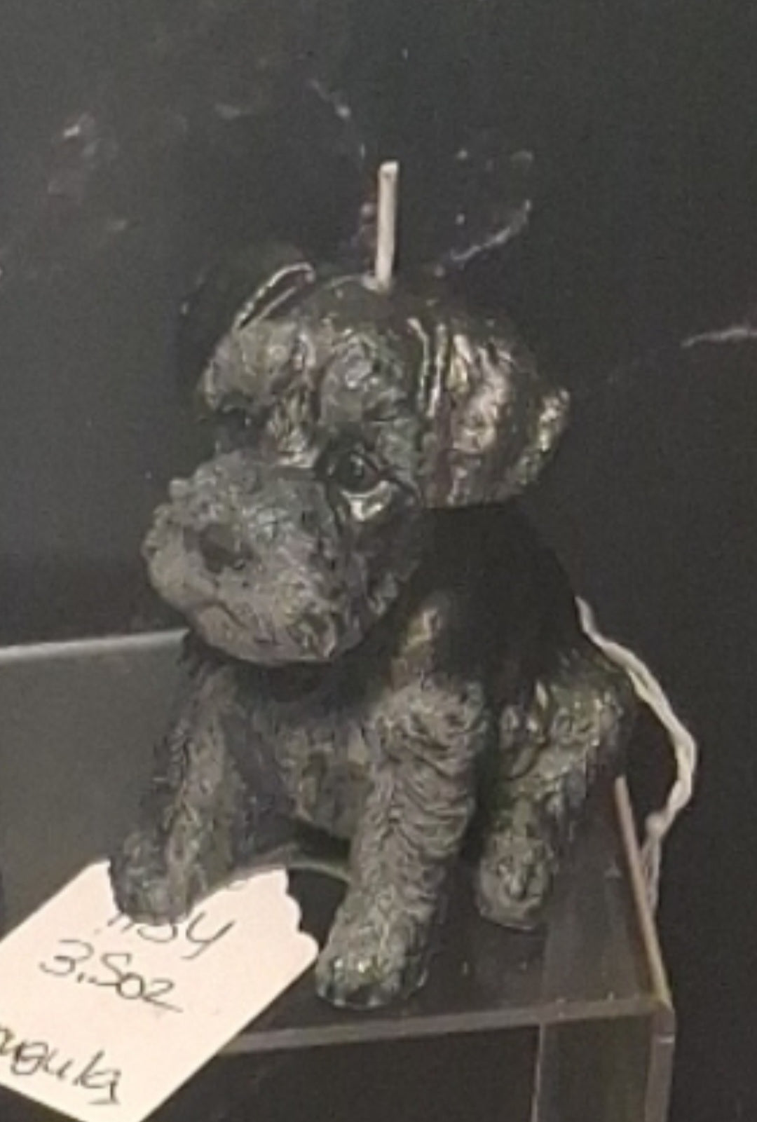 Scottish Terrier
