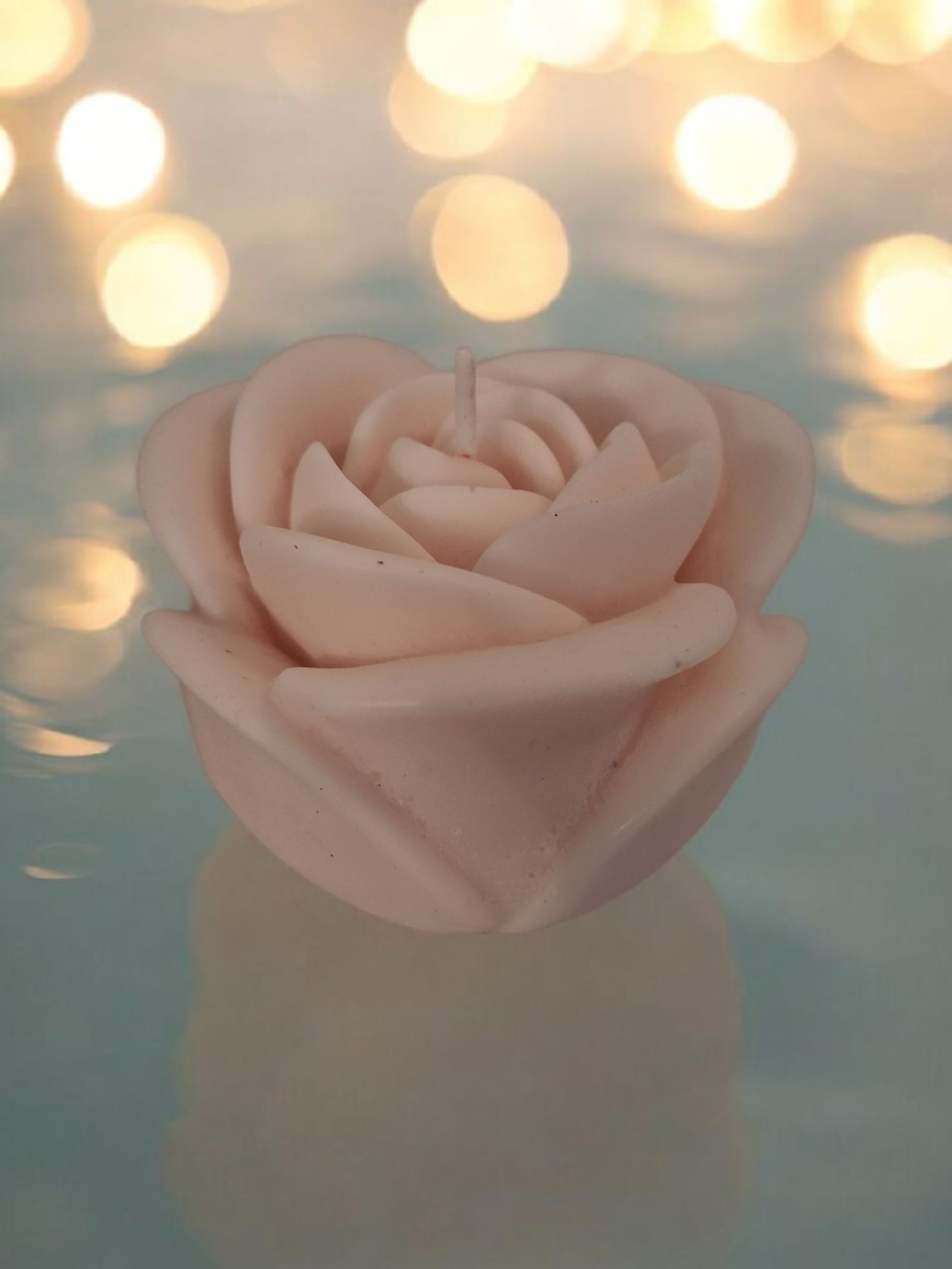 Solitary Rose Blaze 3