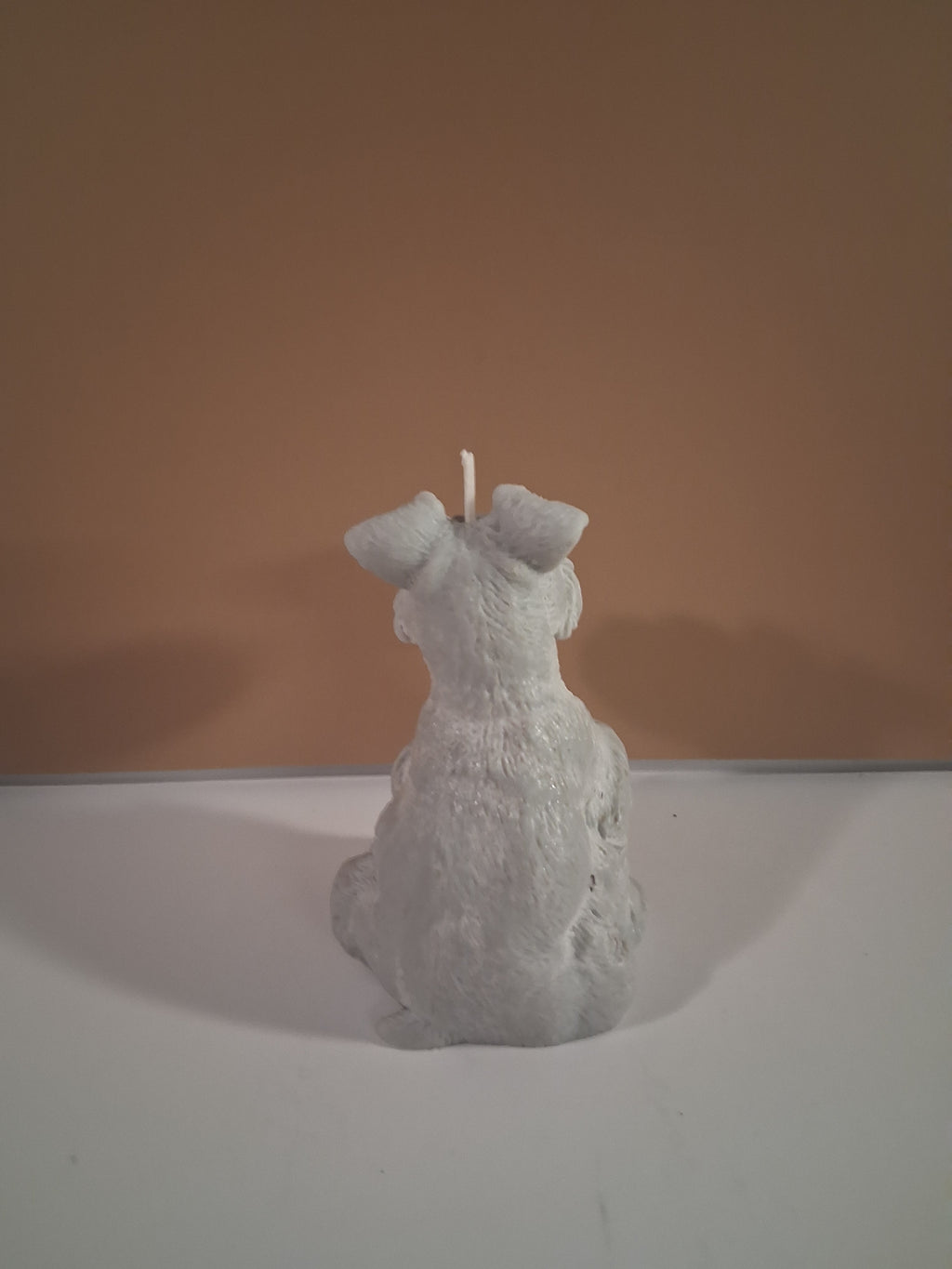 Schnauzer Spunkhouse