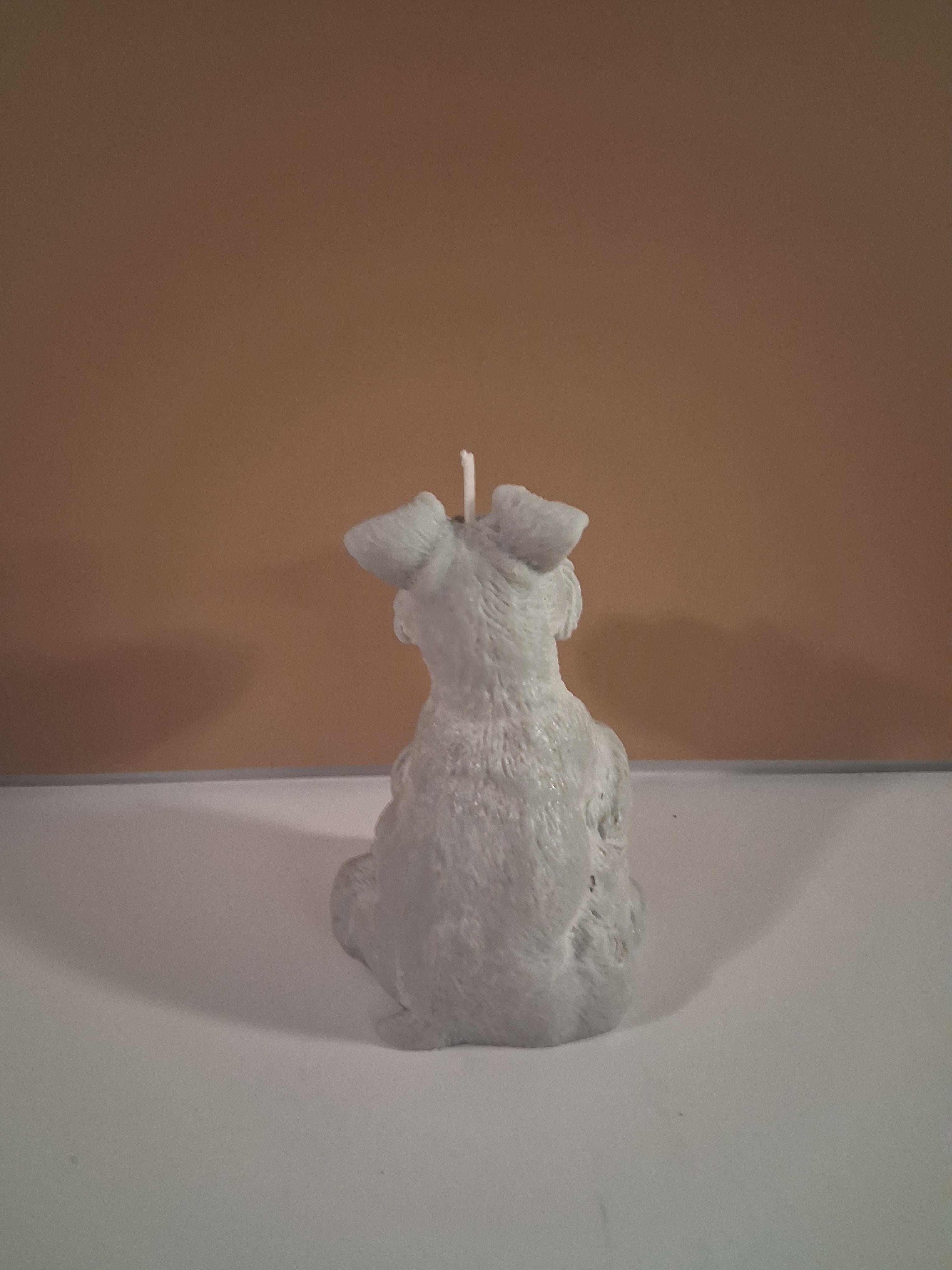 Schnauzer Spunkhouse