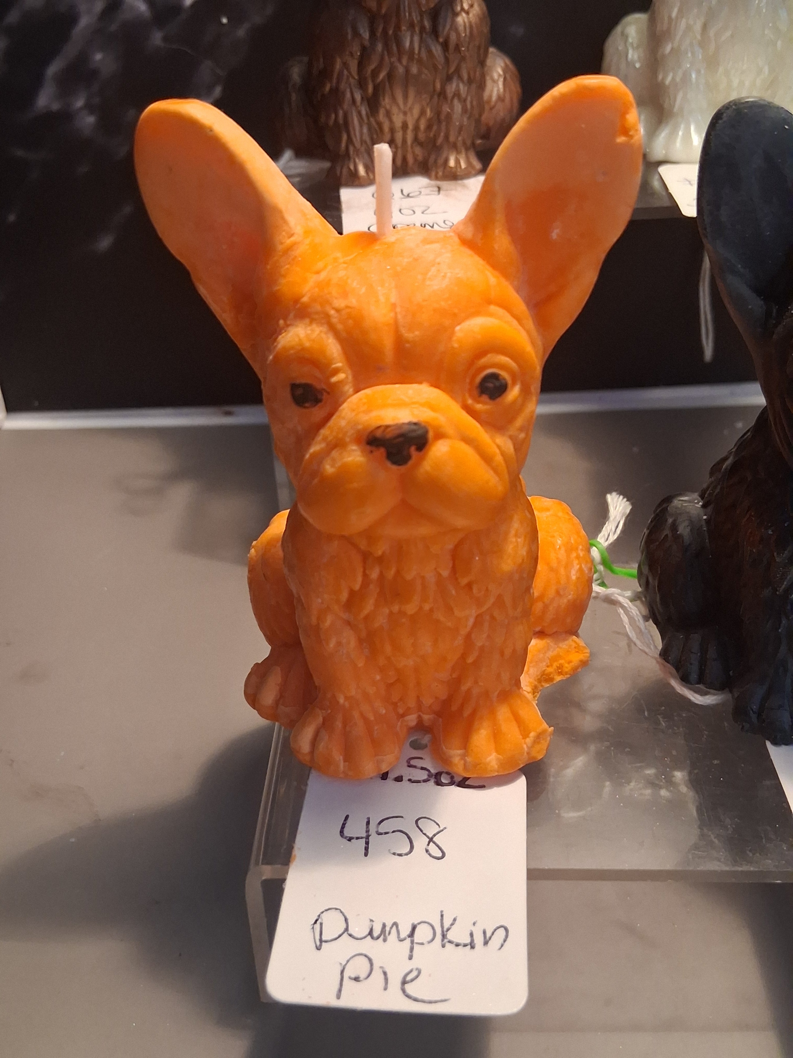 Firelight Frenchie