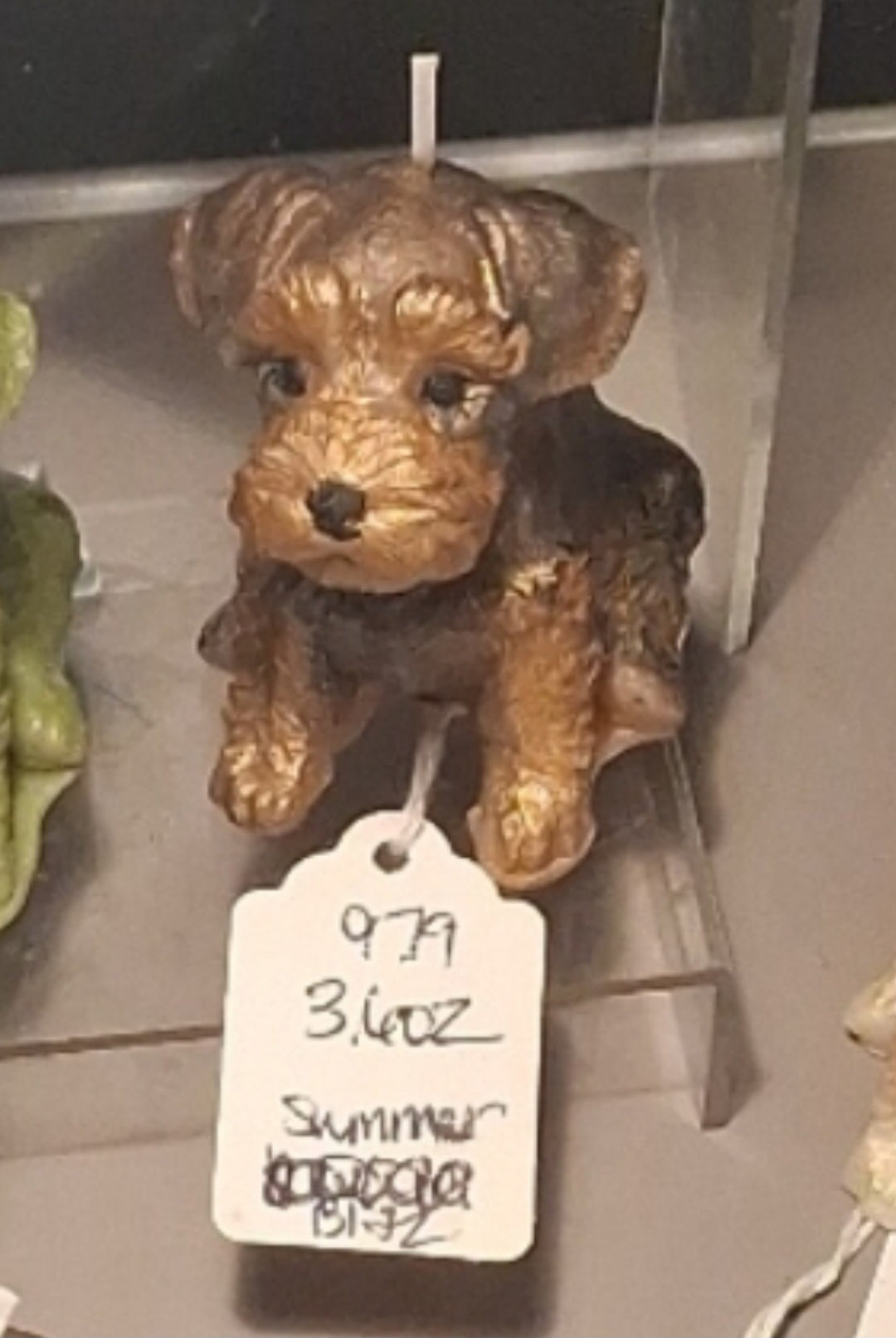 Scottish Terrier