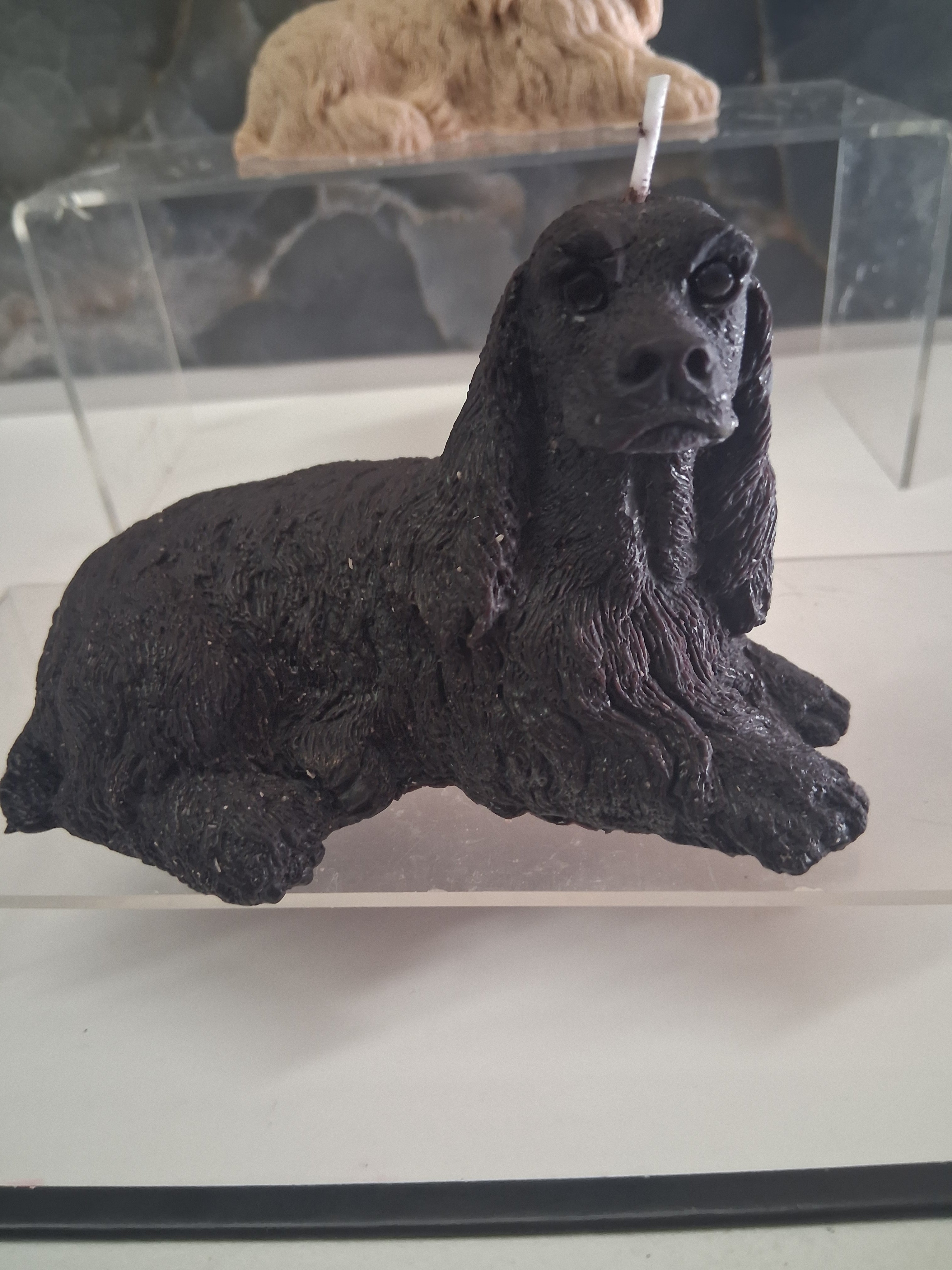 Noble Spaniel Silhouette