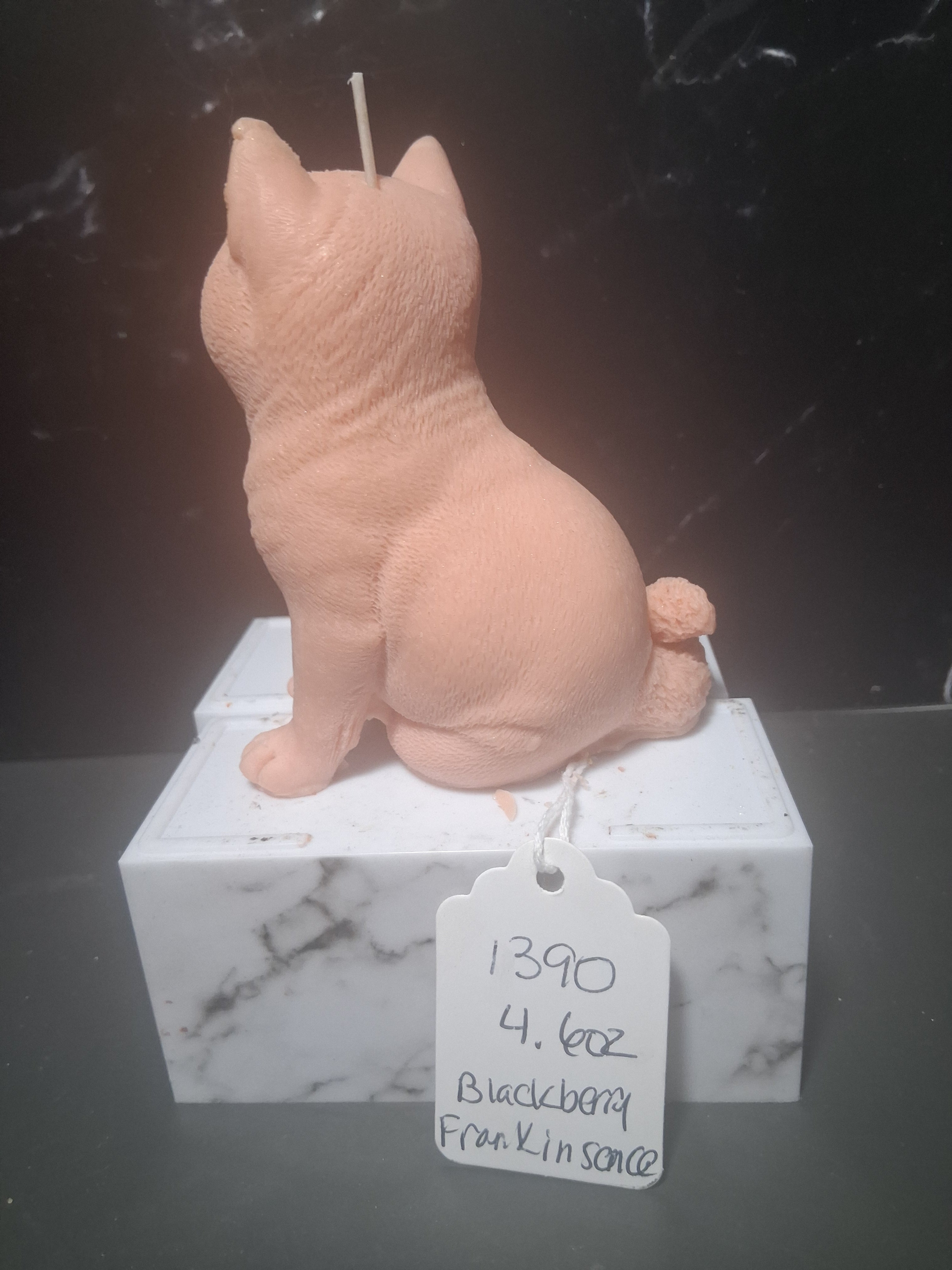 Shiba Heart