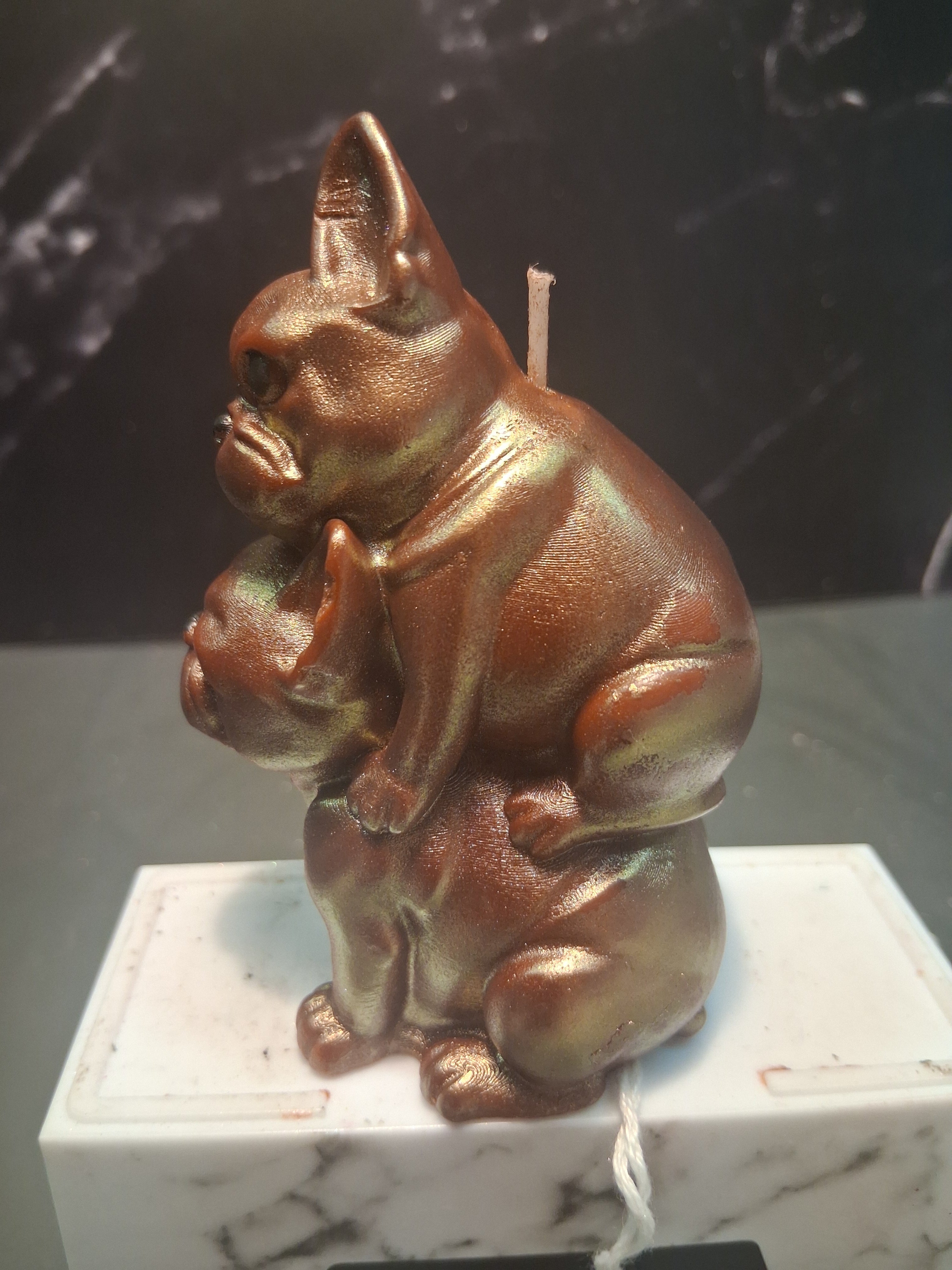 Playful Frenchie Pair