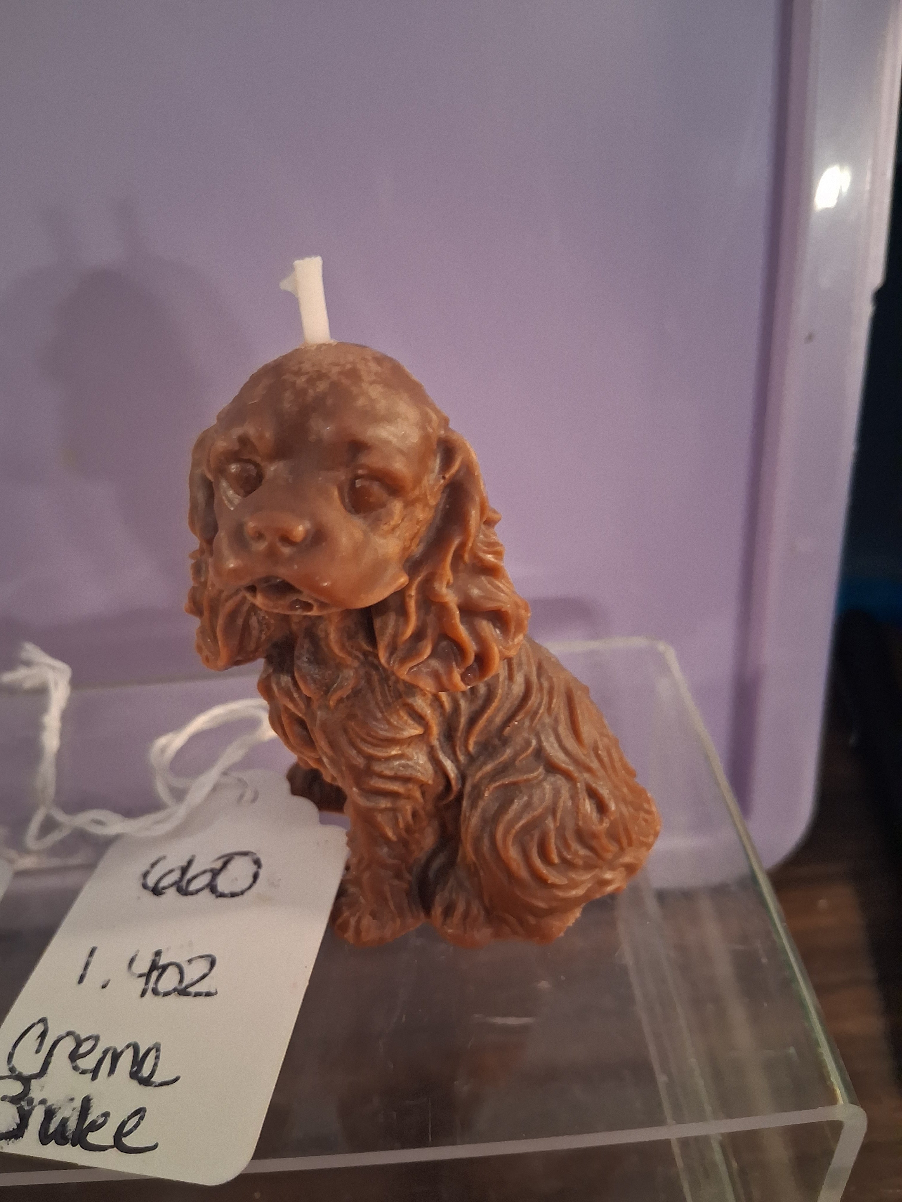 Spunky Spaniel