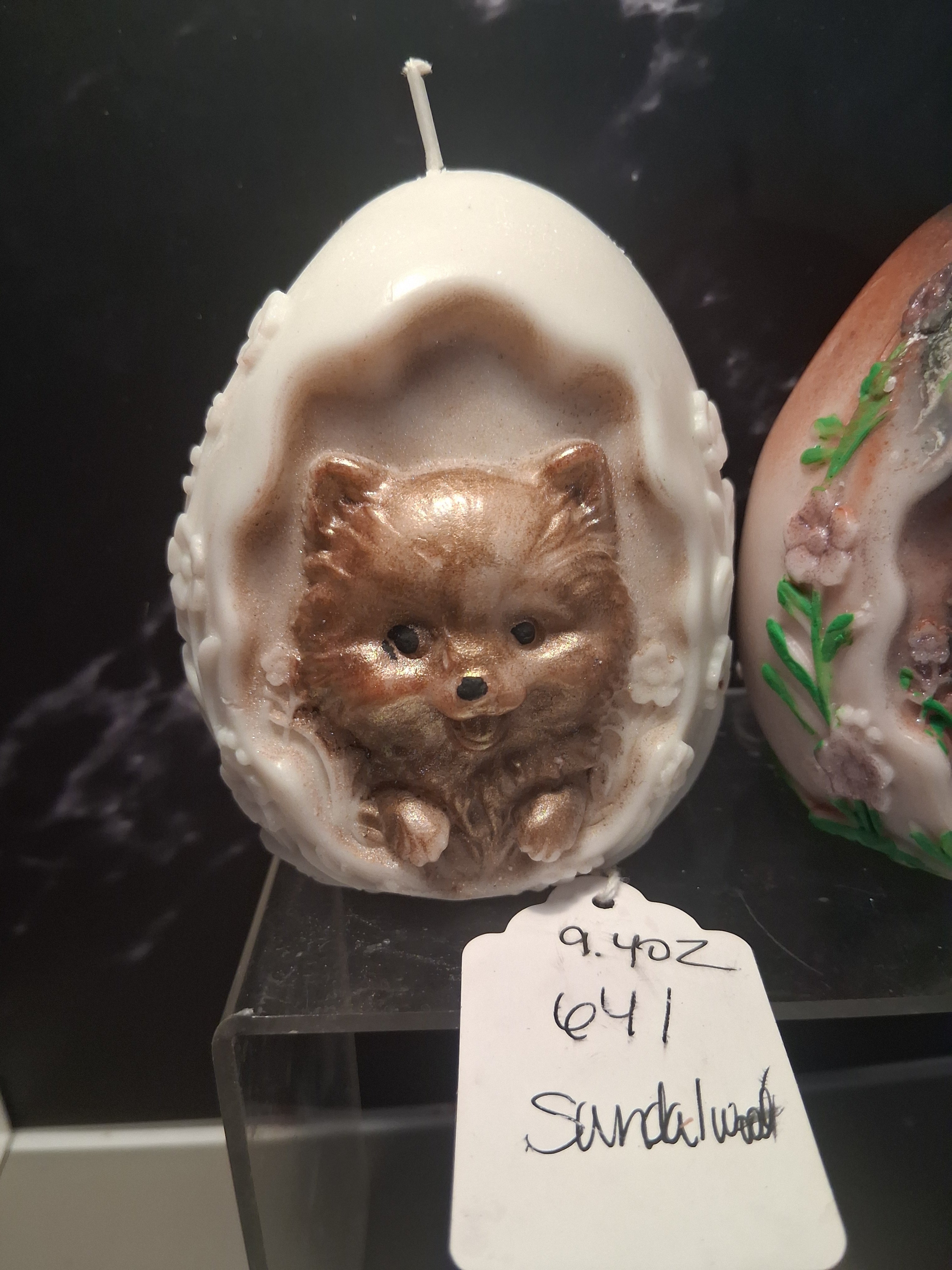 Pom Egg Hatchling