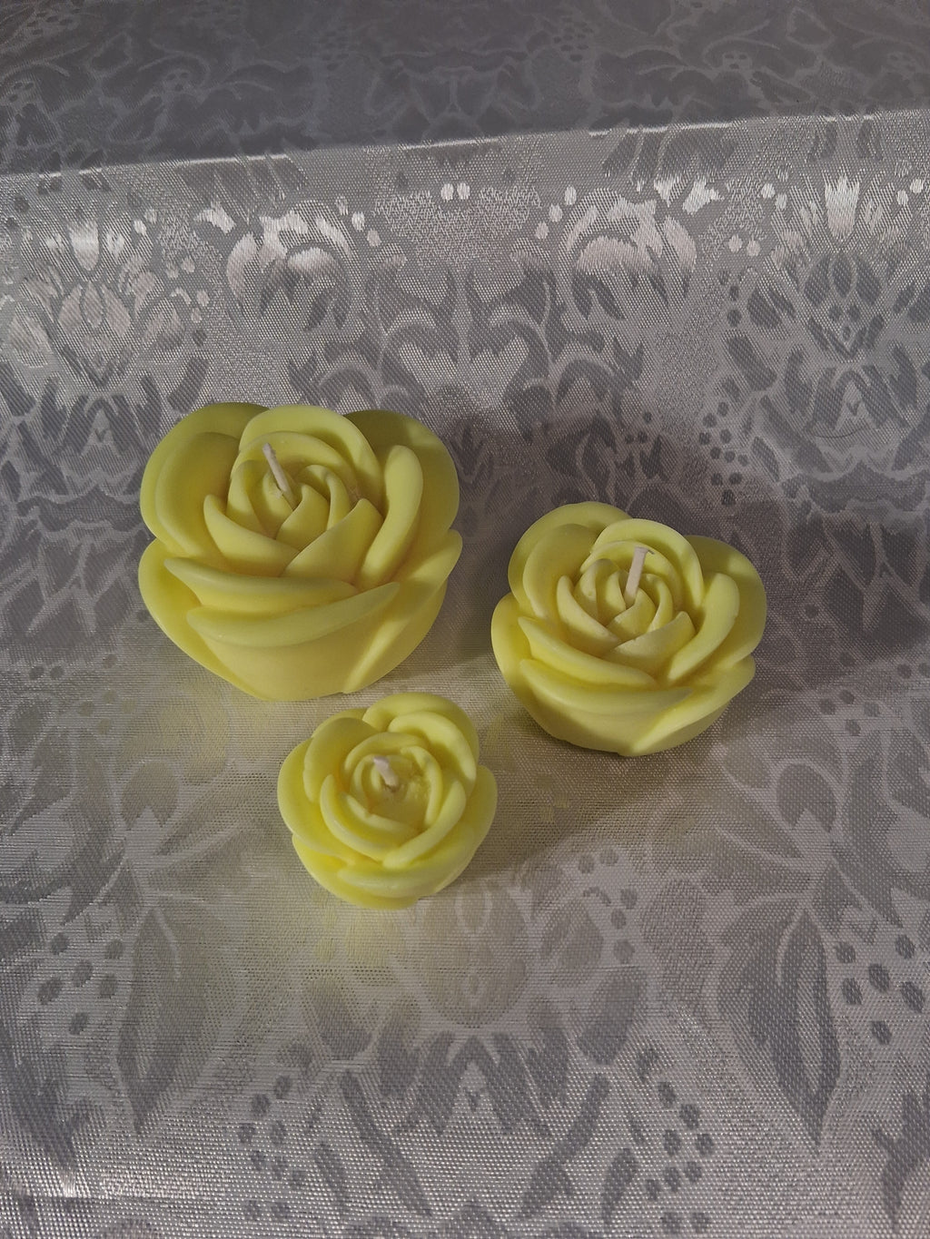 Radiant Glow Roses (Set of 3)