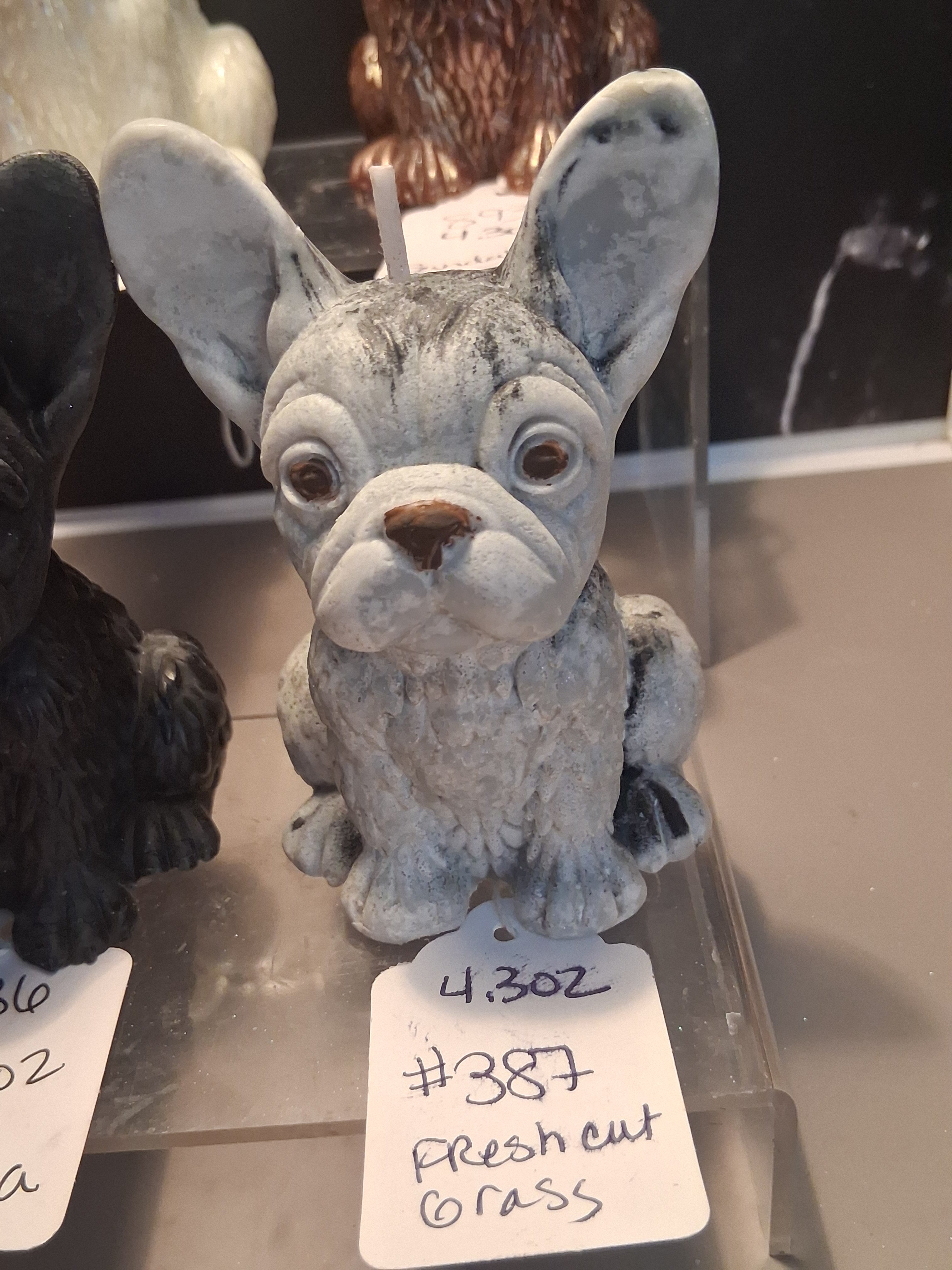 Firelight Frenchie