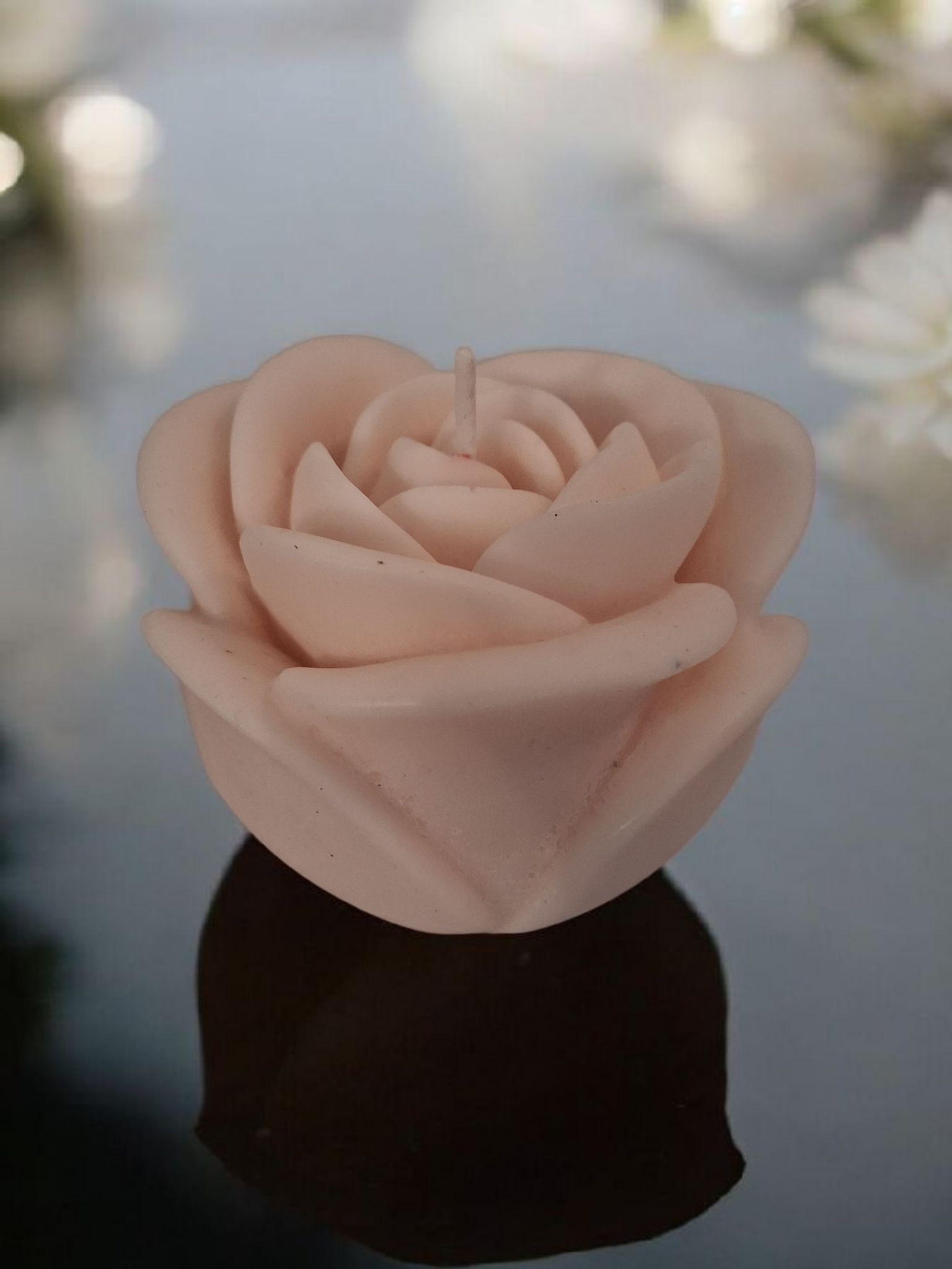 Solitary Rose Blaze 3