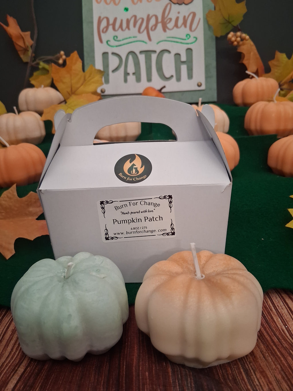 Pumpkin Patch (Set of 2)
