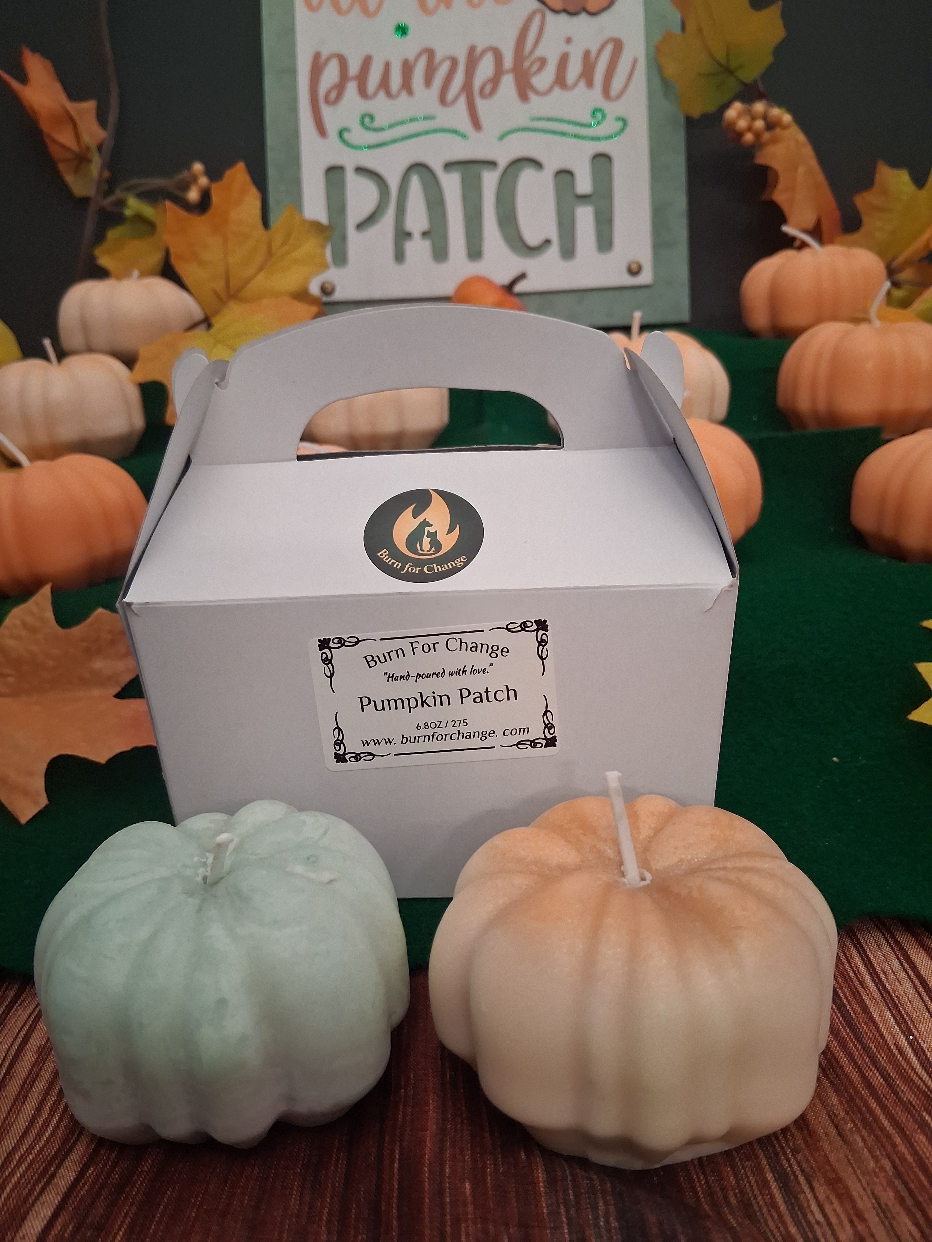 Pumpkin Patch (Set of 2)