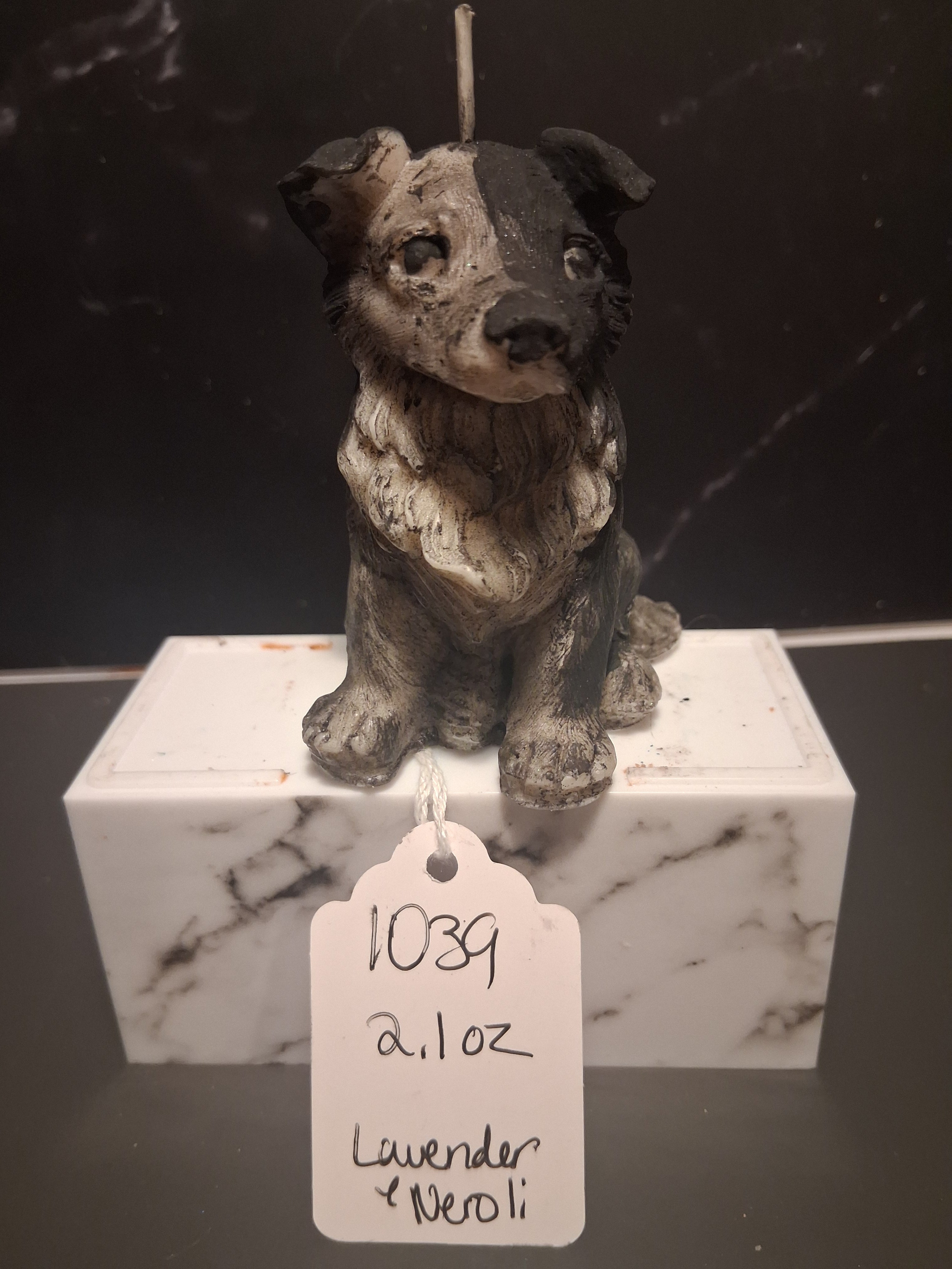 Brilliant Border Collie