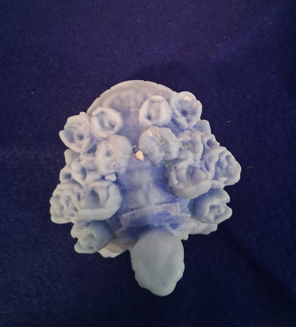 Turtle Blossom Guardian