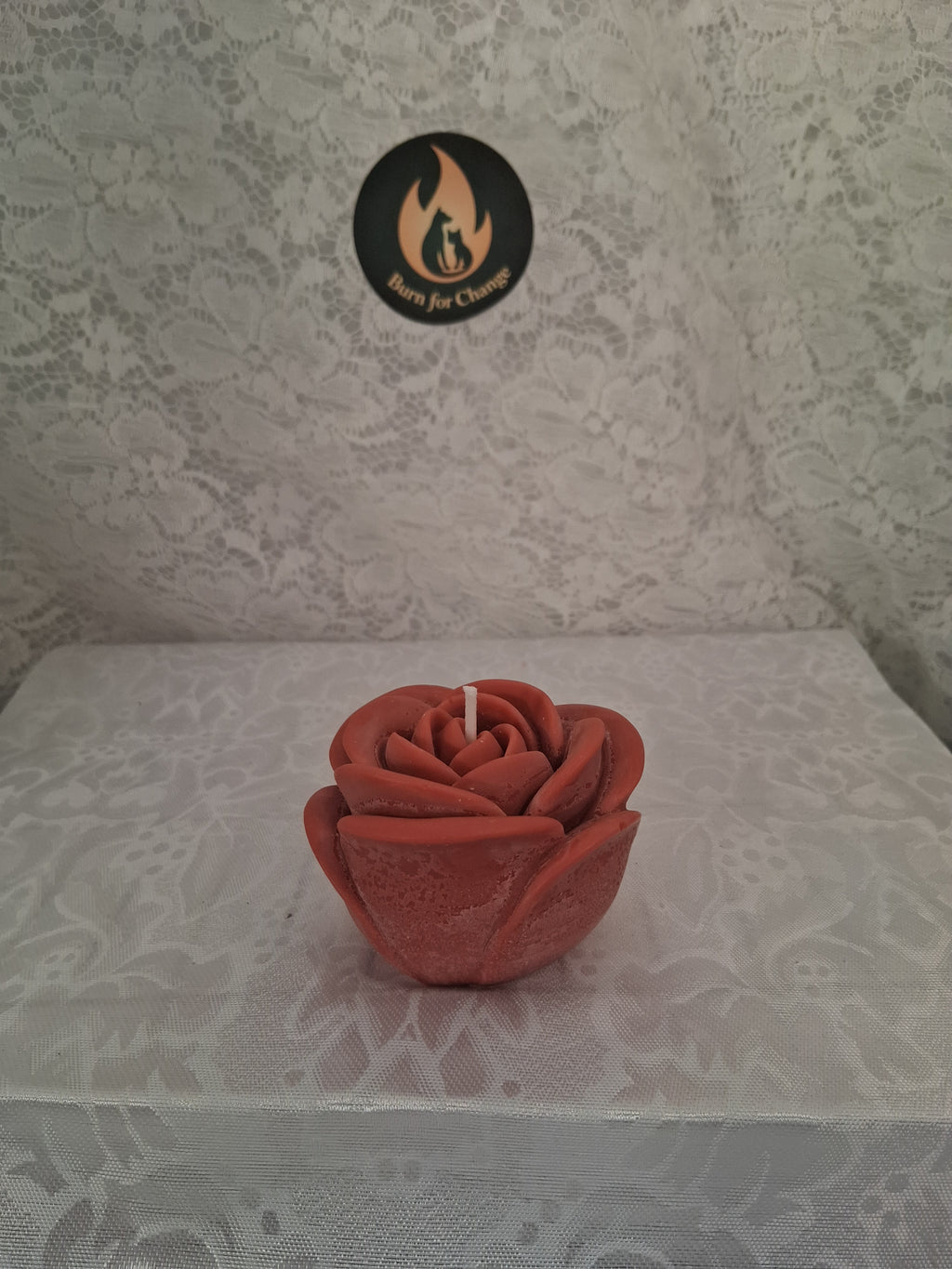 Solitary Rose Blaze 2