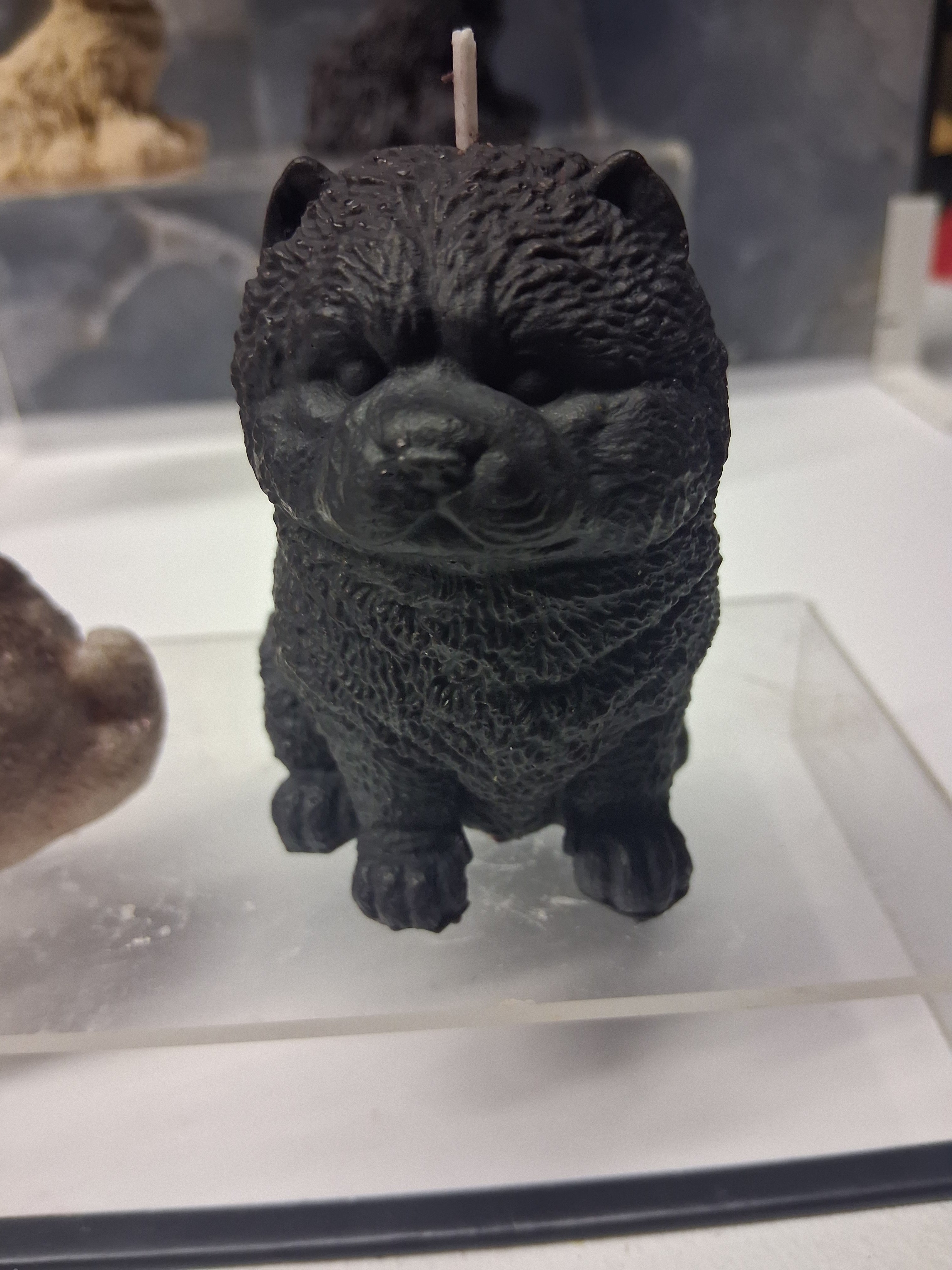 Chow Chow Charm
