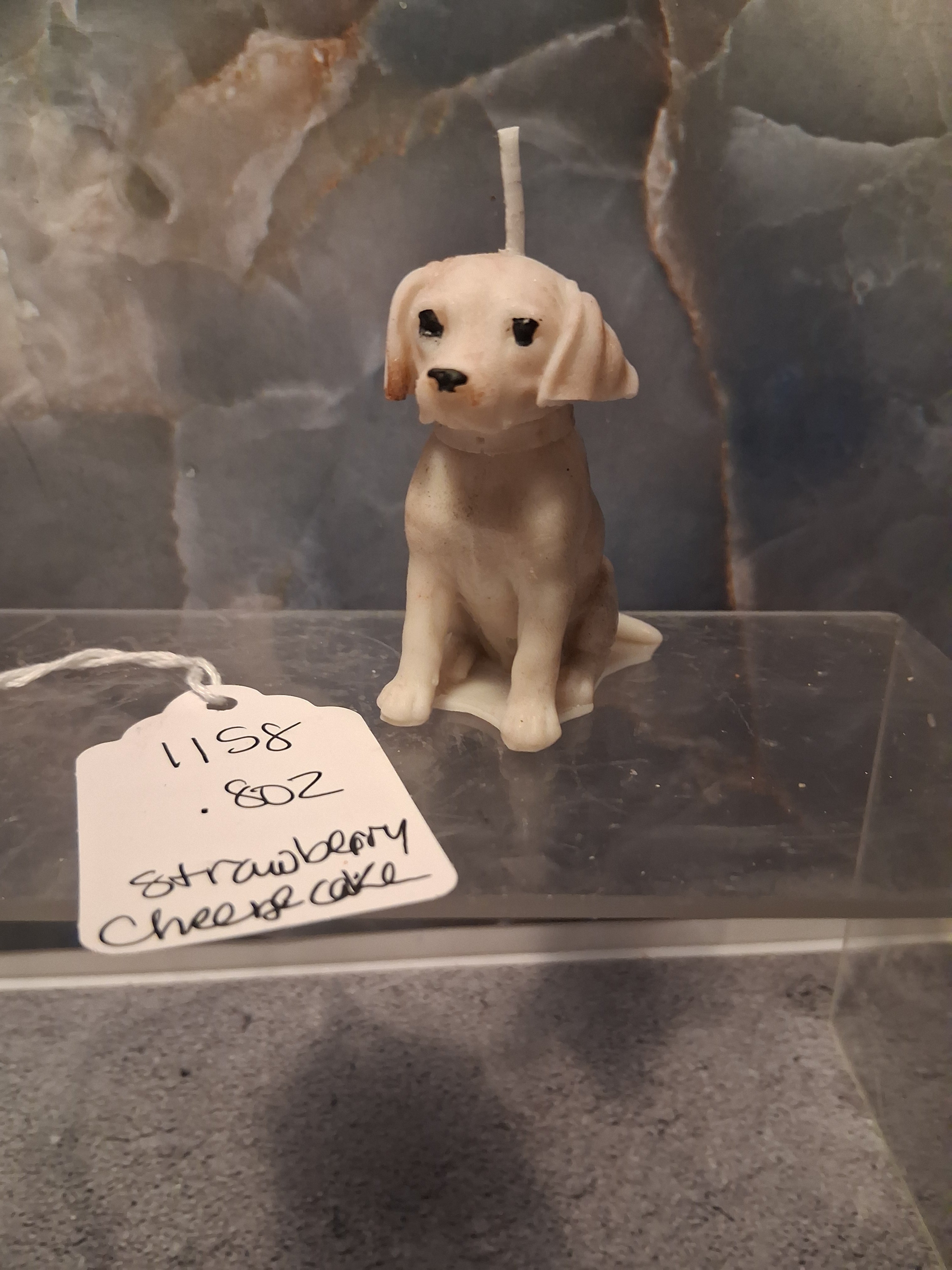 Pocket Beagle Pal