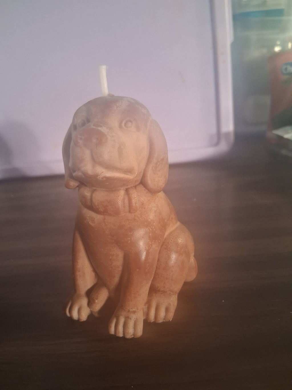 Loyal Lab