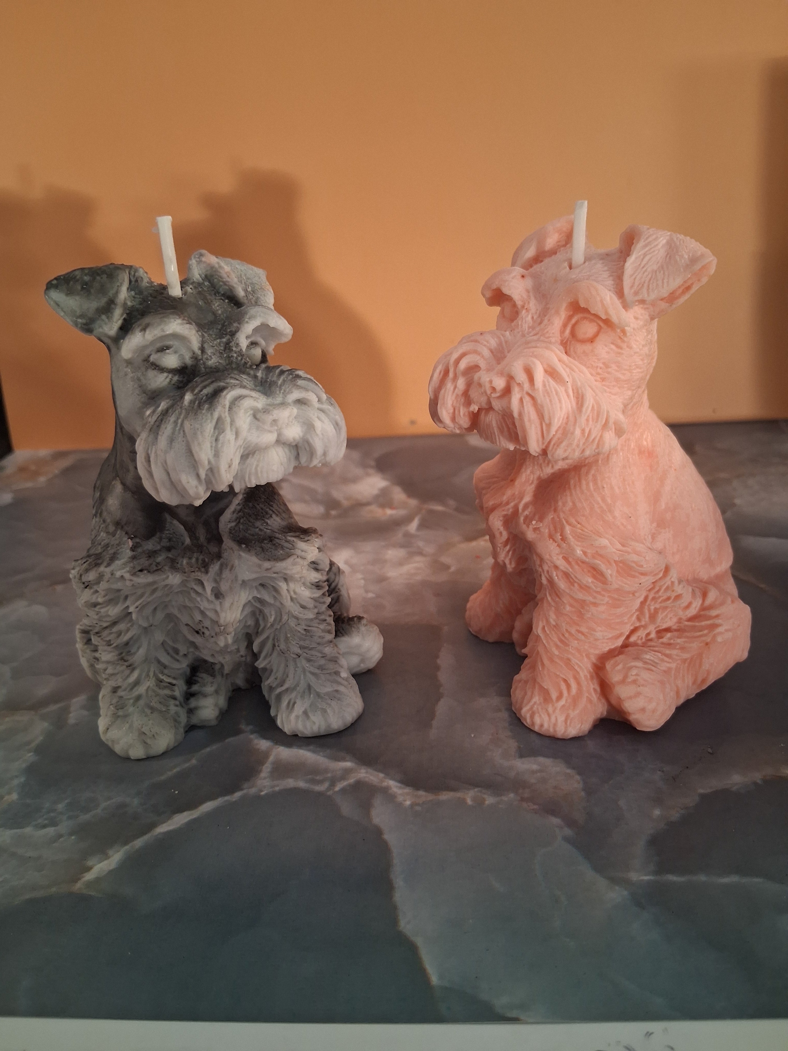 Schnauzer Spunkhouse