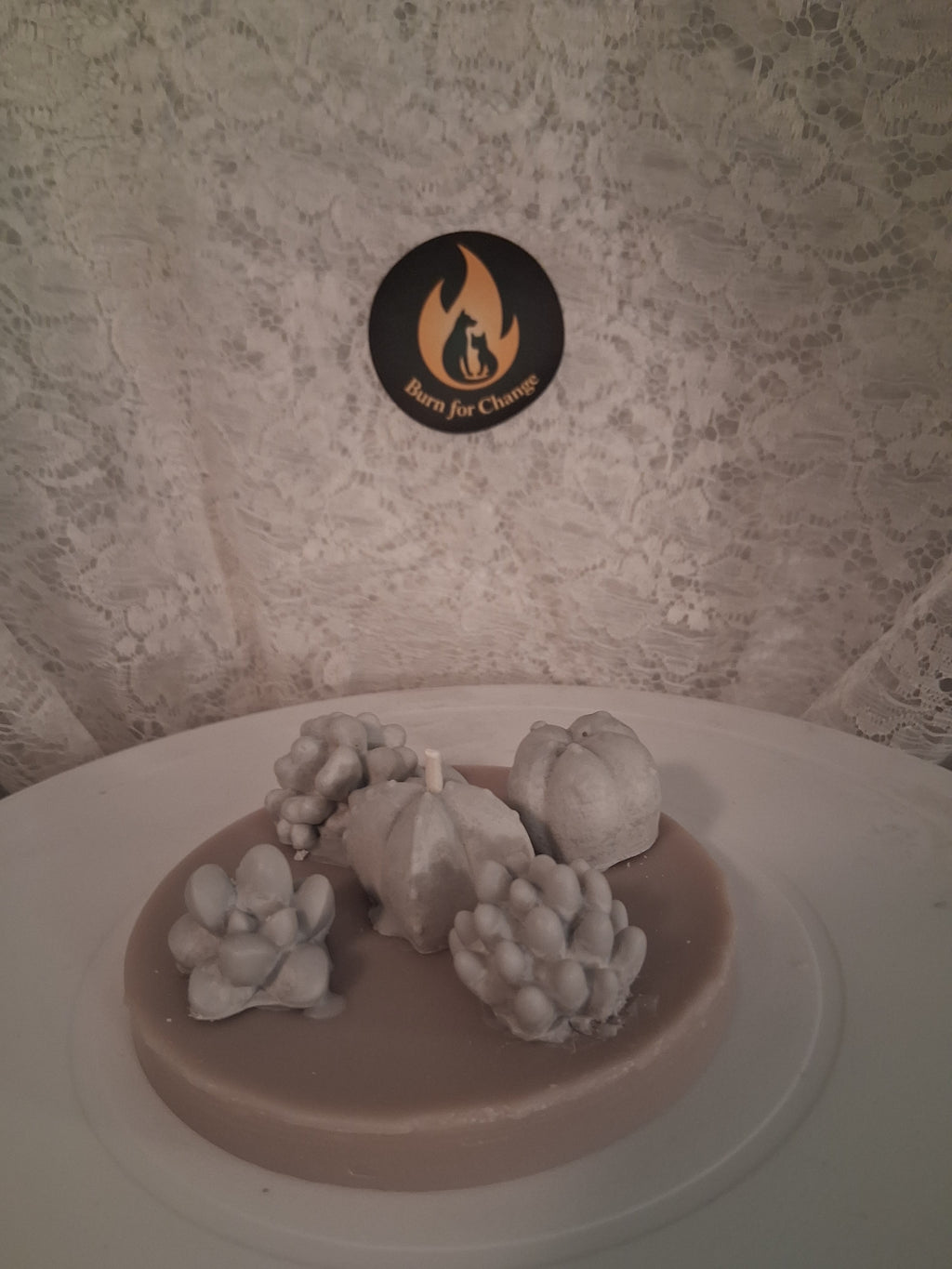 Oasis Succulent Cluster