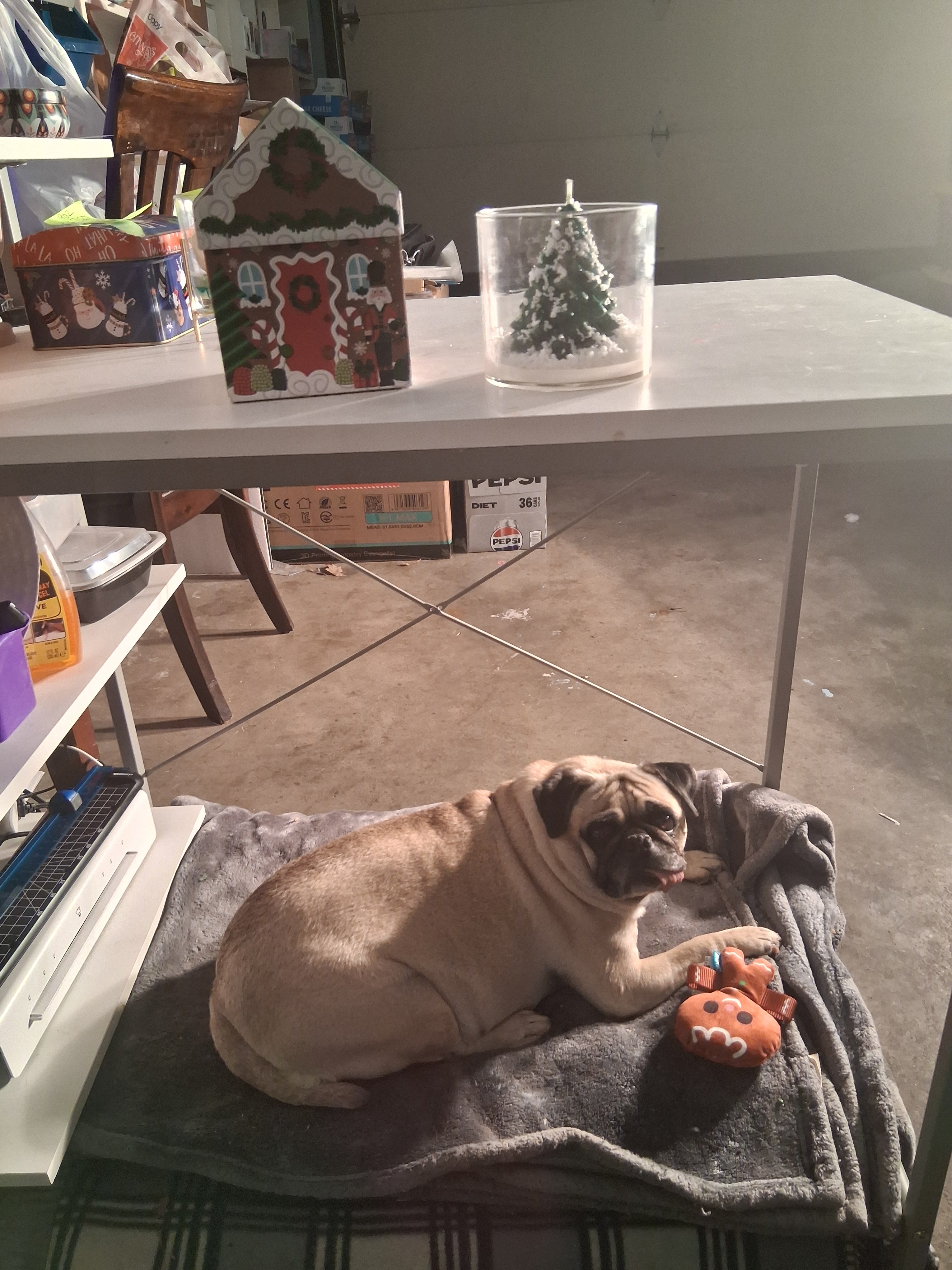 Winter Forest Candle