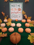 Pumpkin Patch 2 (Set of 2)