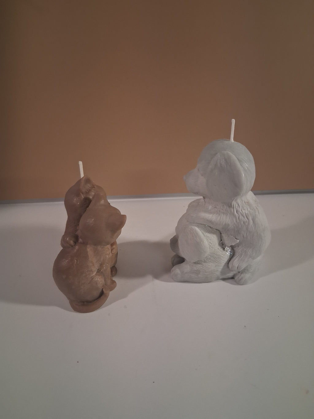 Paw-fect Together (Set of 2)