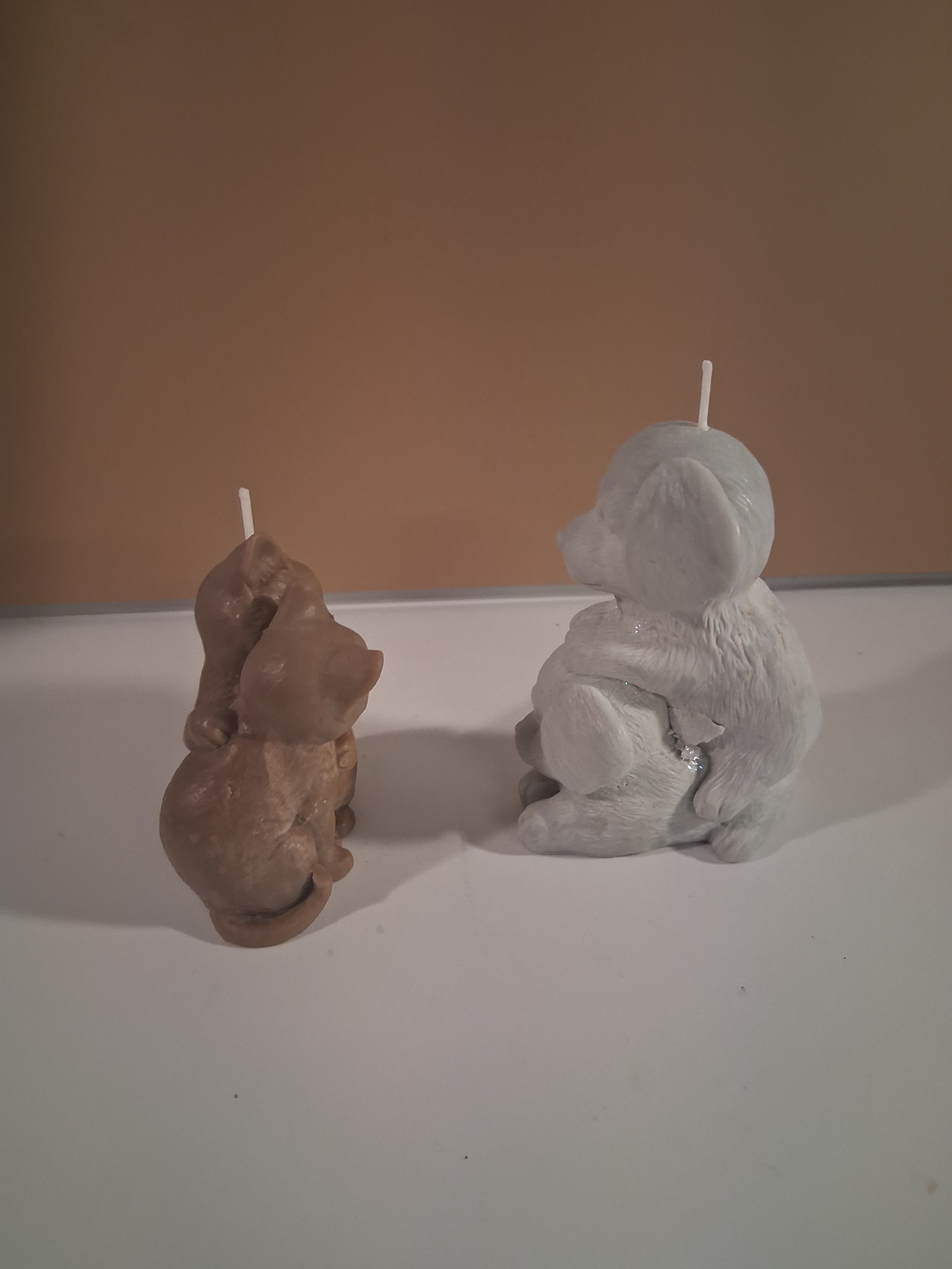 Paw-fect Together (Set of 2)