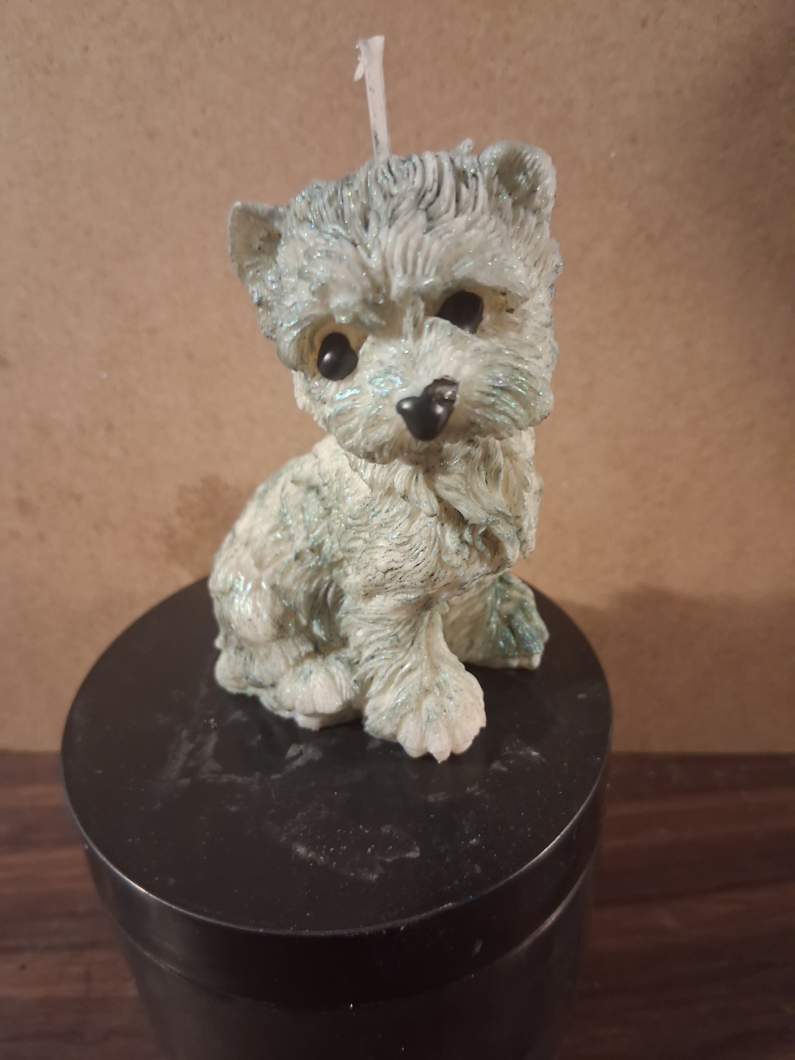 Terrier Twinkle