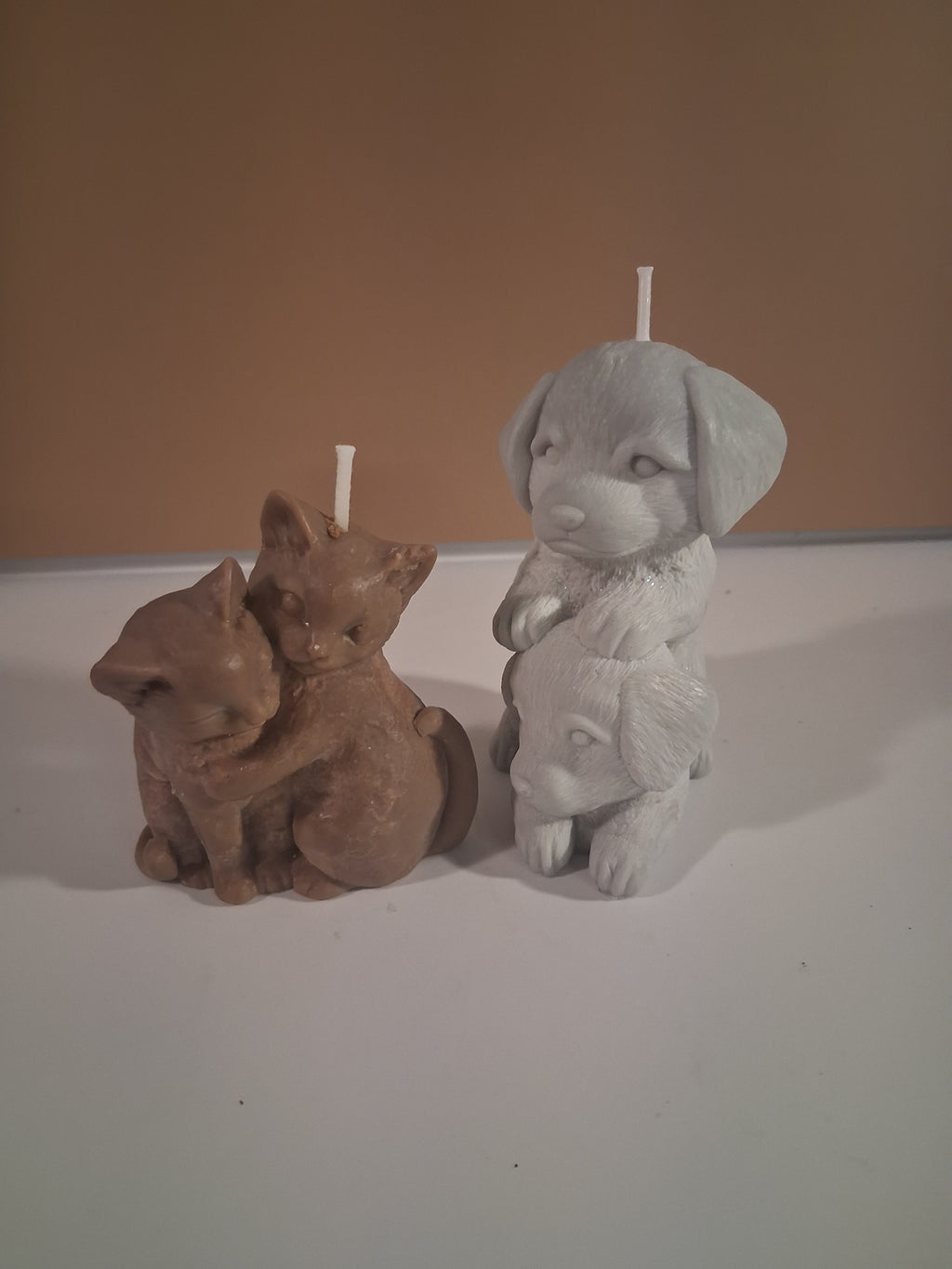 Paw-fect Together (Set of 2)