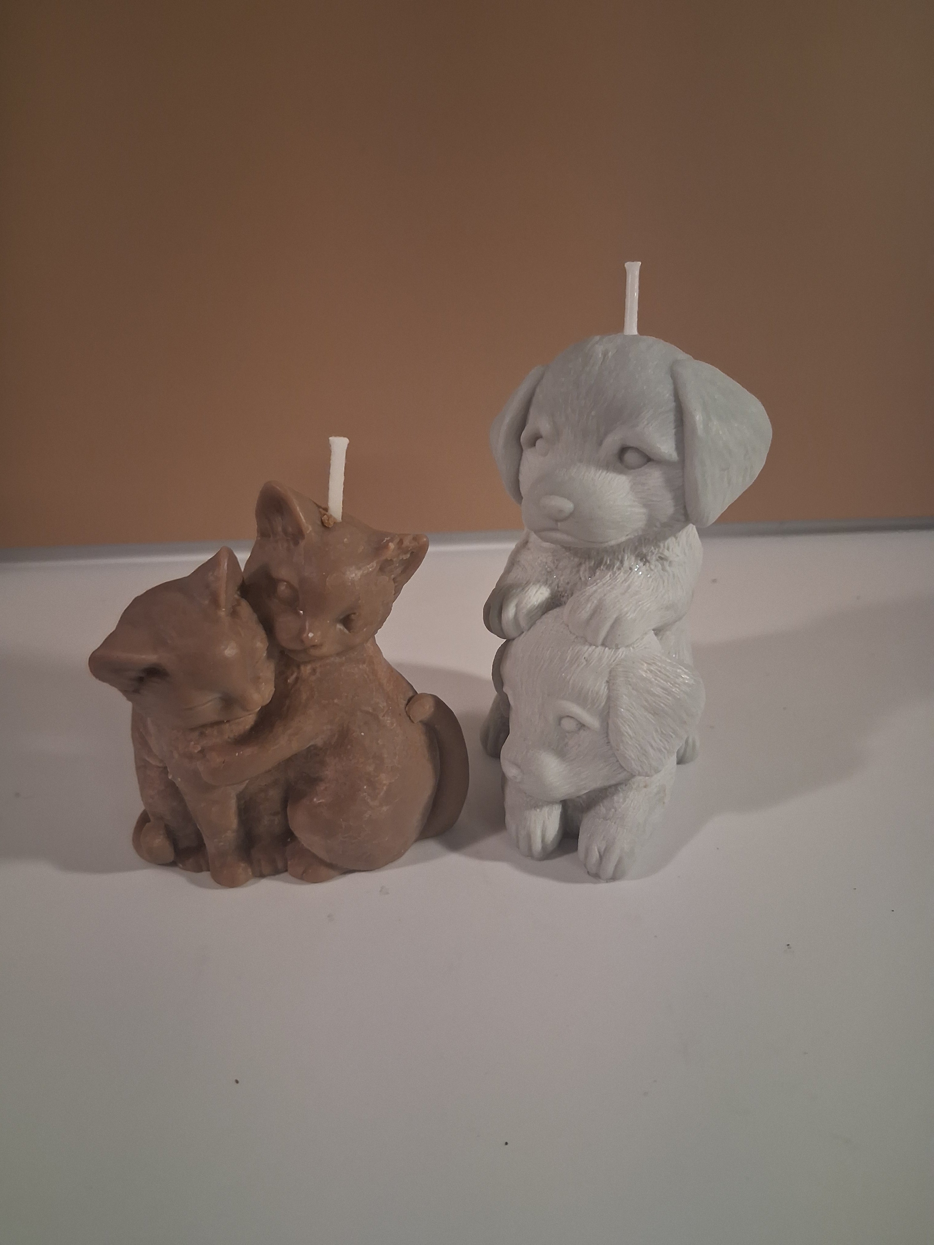 Paw-fect Together (Set of 2)