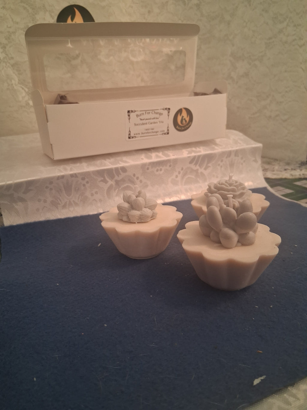 Succulent Garden Trio