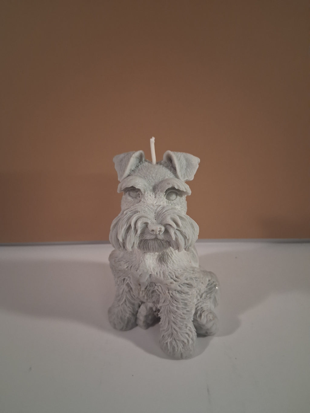 Schnauzer Spunkhouse